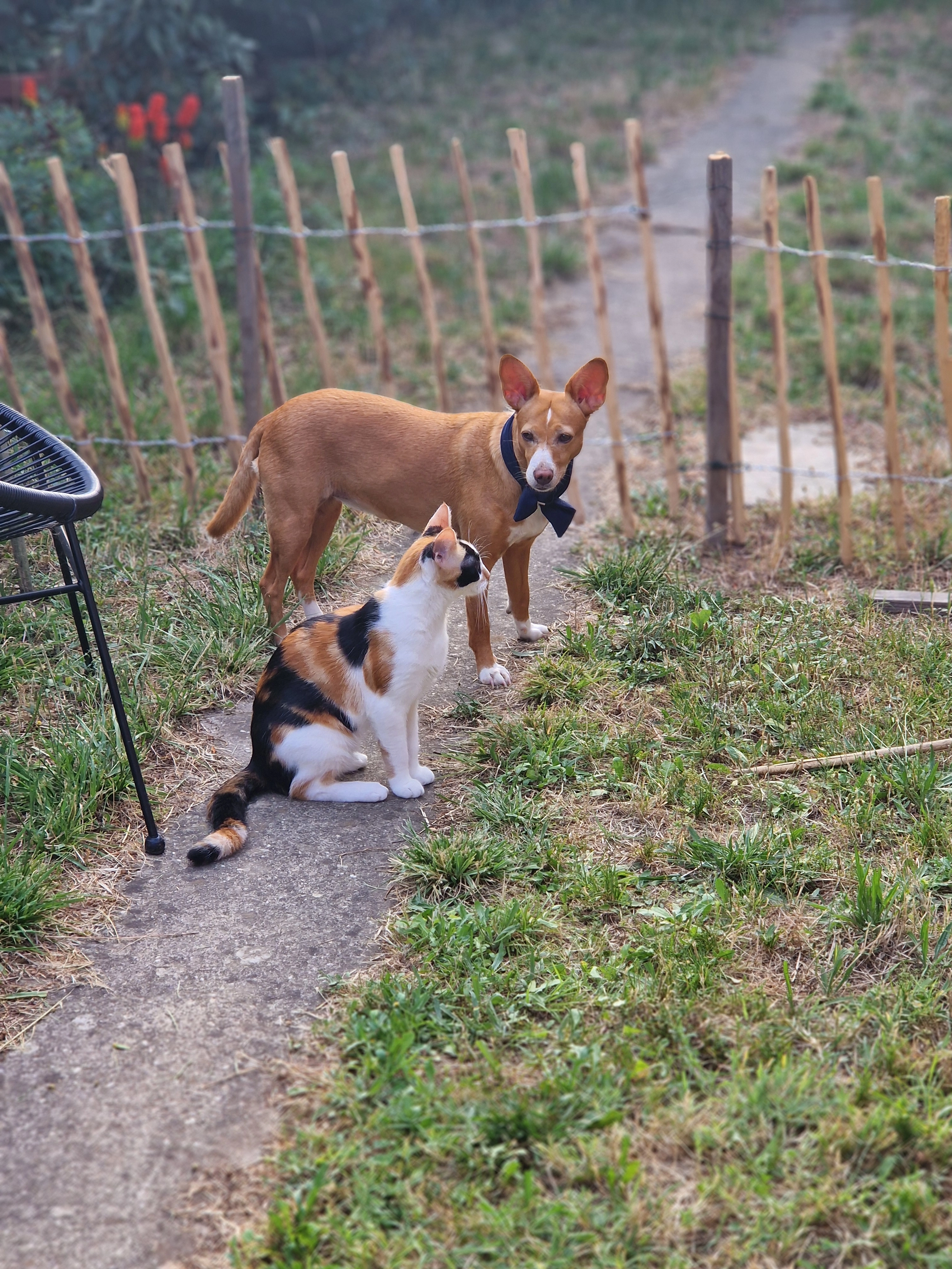 Titi - 197 Route de Seysses, Toulouse
