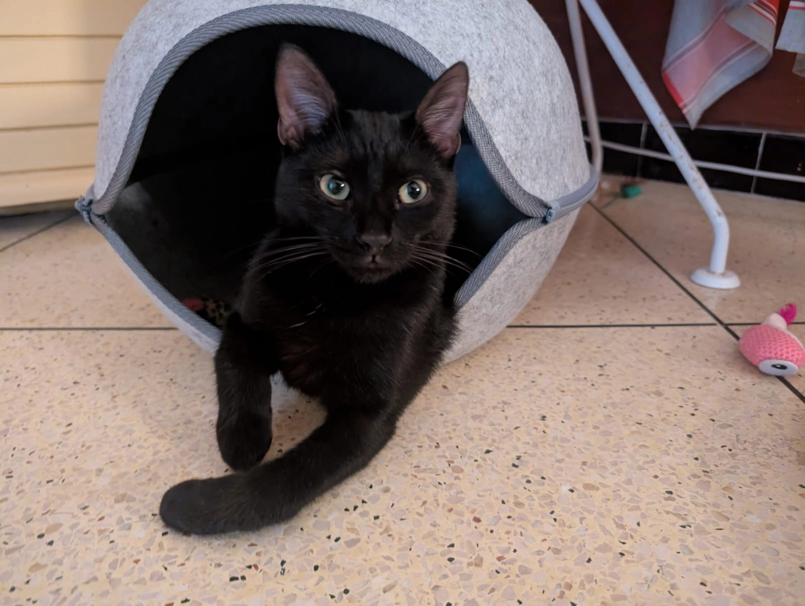 Dean - Avenue des Lauriers Roses, Cavalaire-sur-Mer