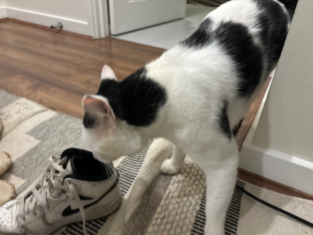 Luna - Fir Street, Manchester