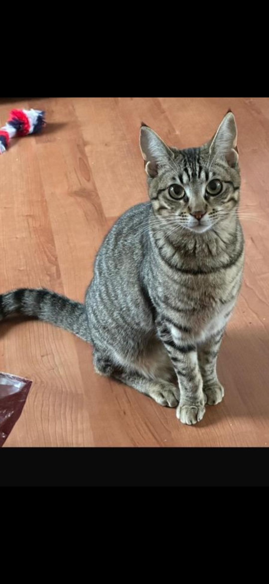 Decibel - Witherenstraat, Ter Apel