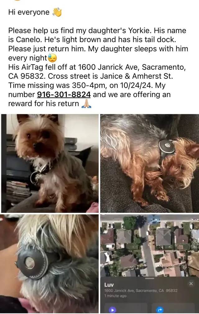 Canelo - 1600 Janrick Ave, Sacramento