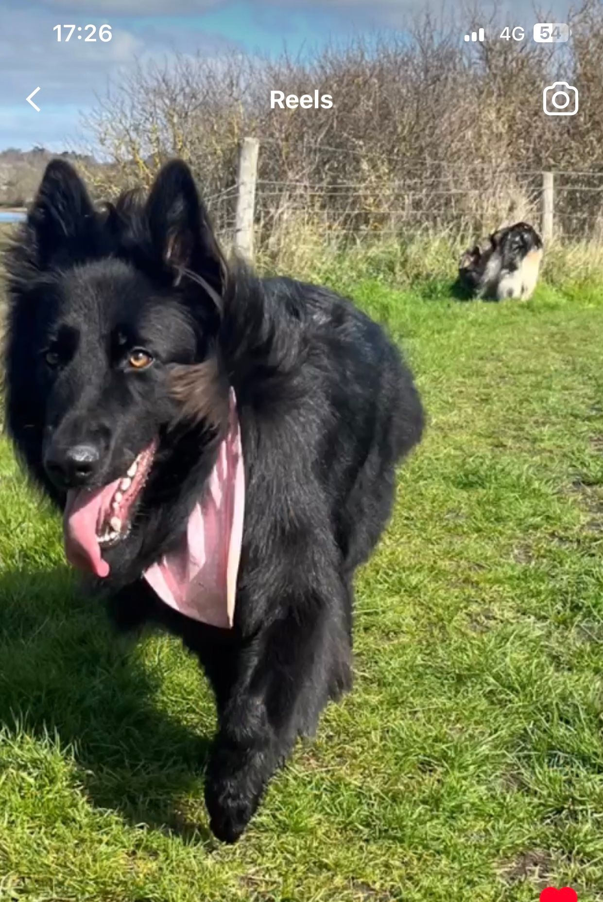 Bella  - 3 Reigate Avenue, Clacton-on-Sea