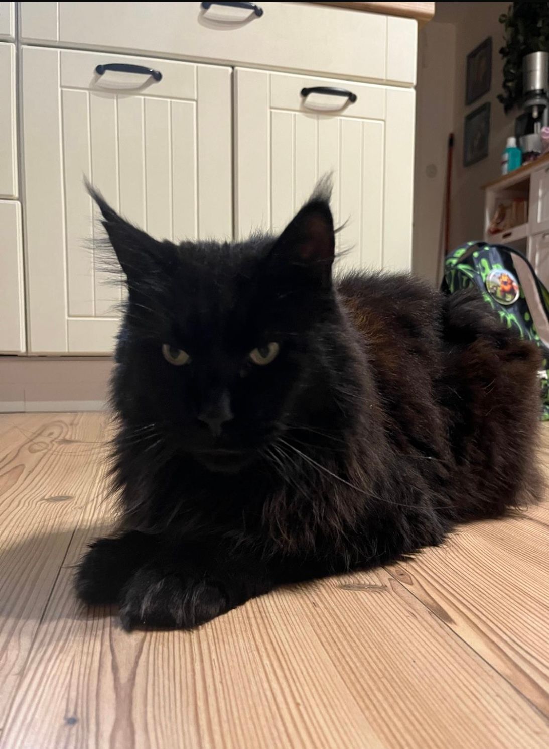 Dobby - Im Kirchwinkel, Lügde