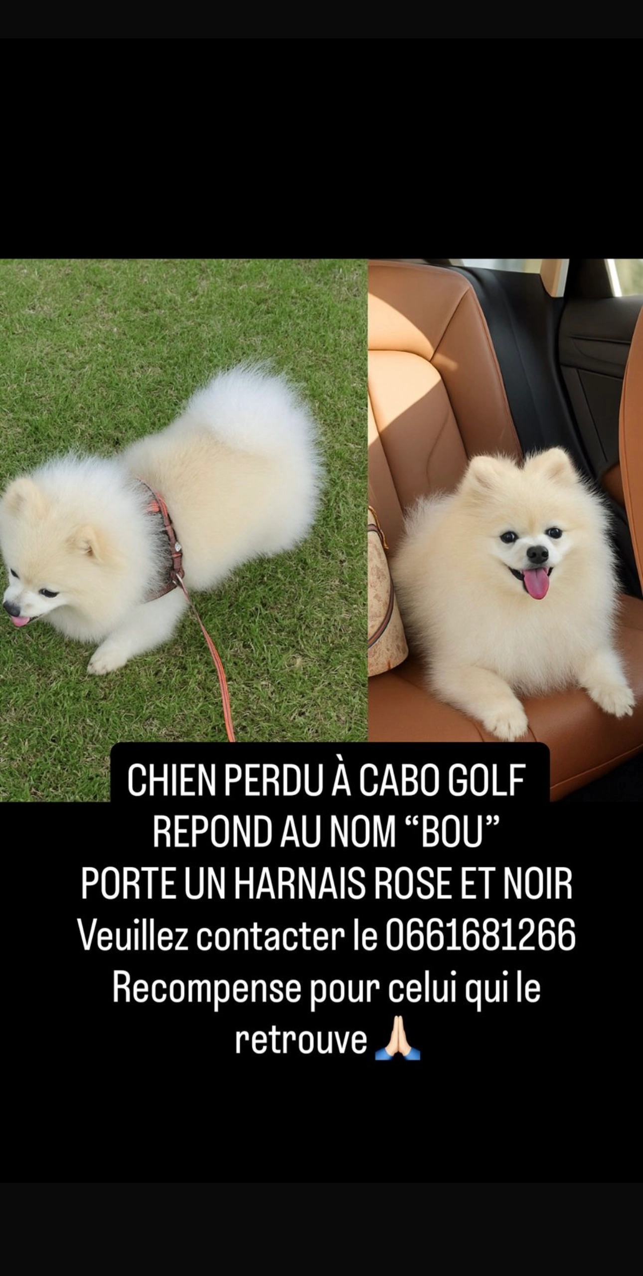 Bou - Rue Golf Cabo Negro, Cabo Negro