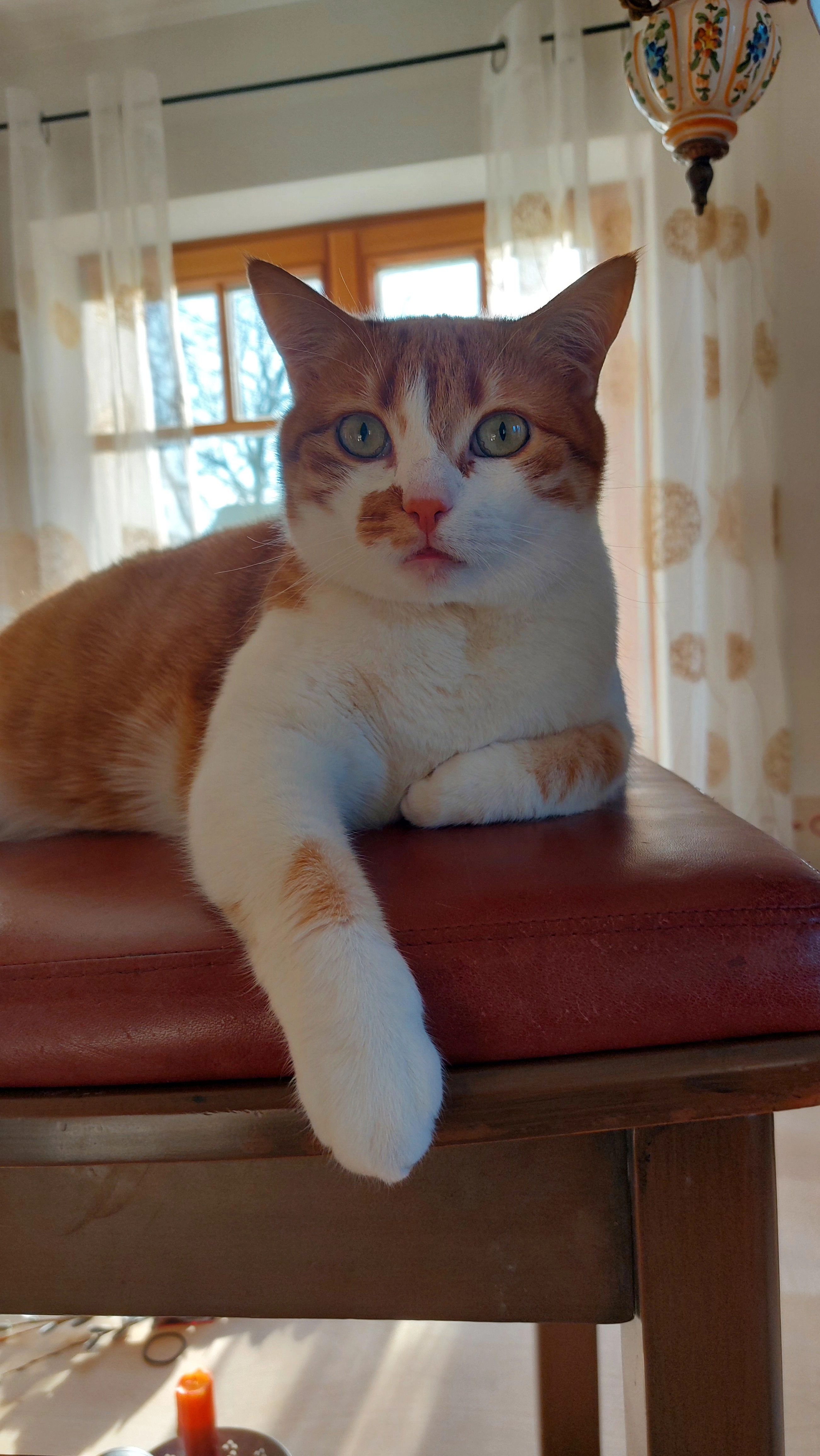 Minnie  - Spitzsteinstraße, Pfaffing