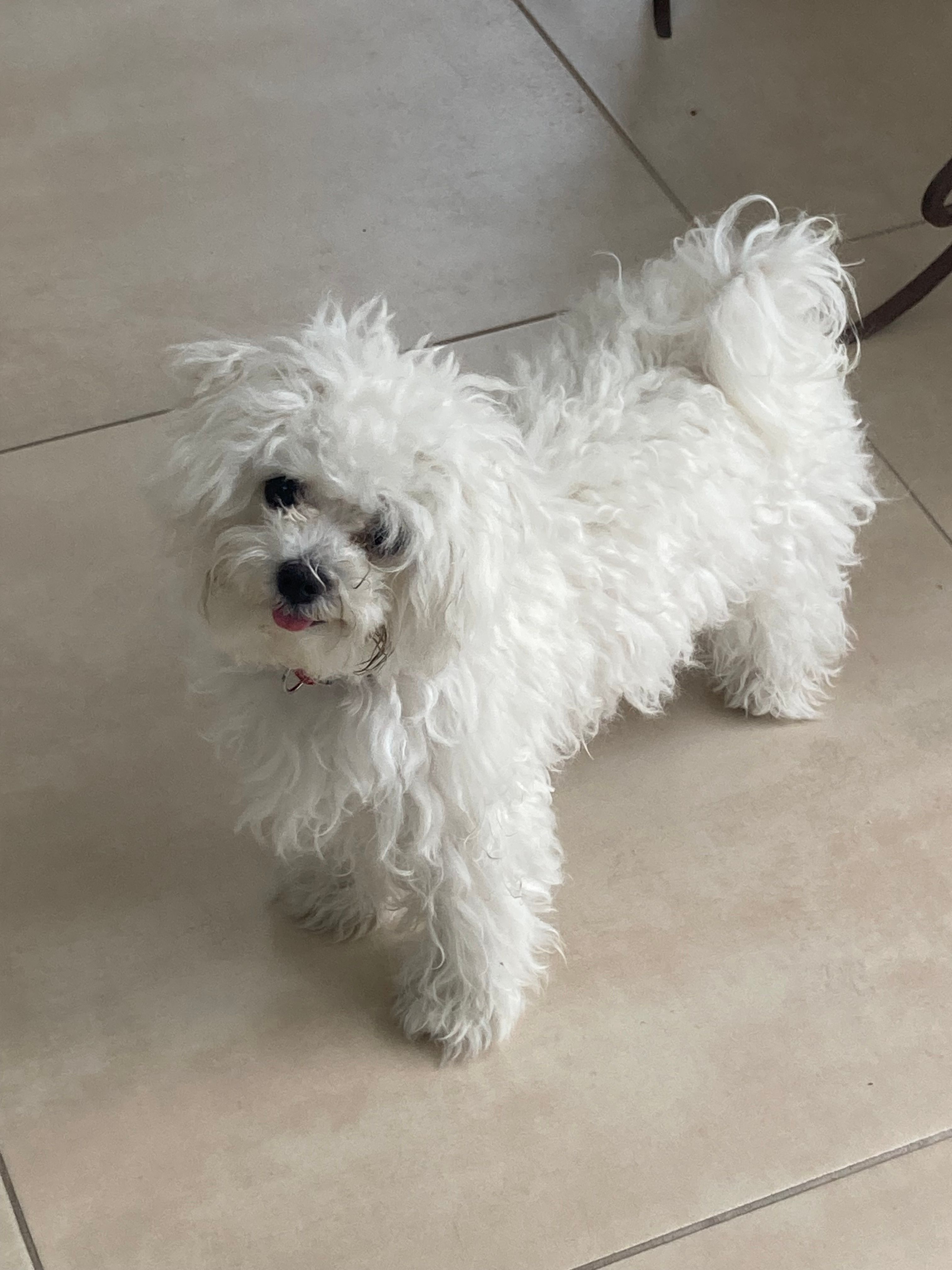 Beckie - Rochestown Avenue, Cabinteely