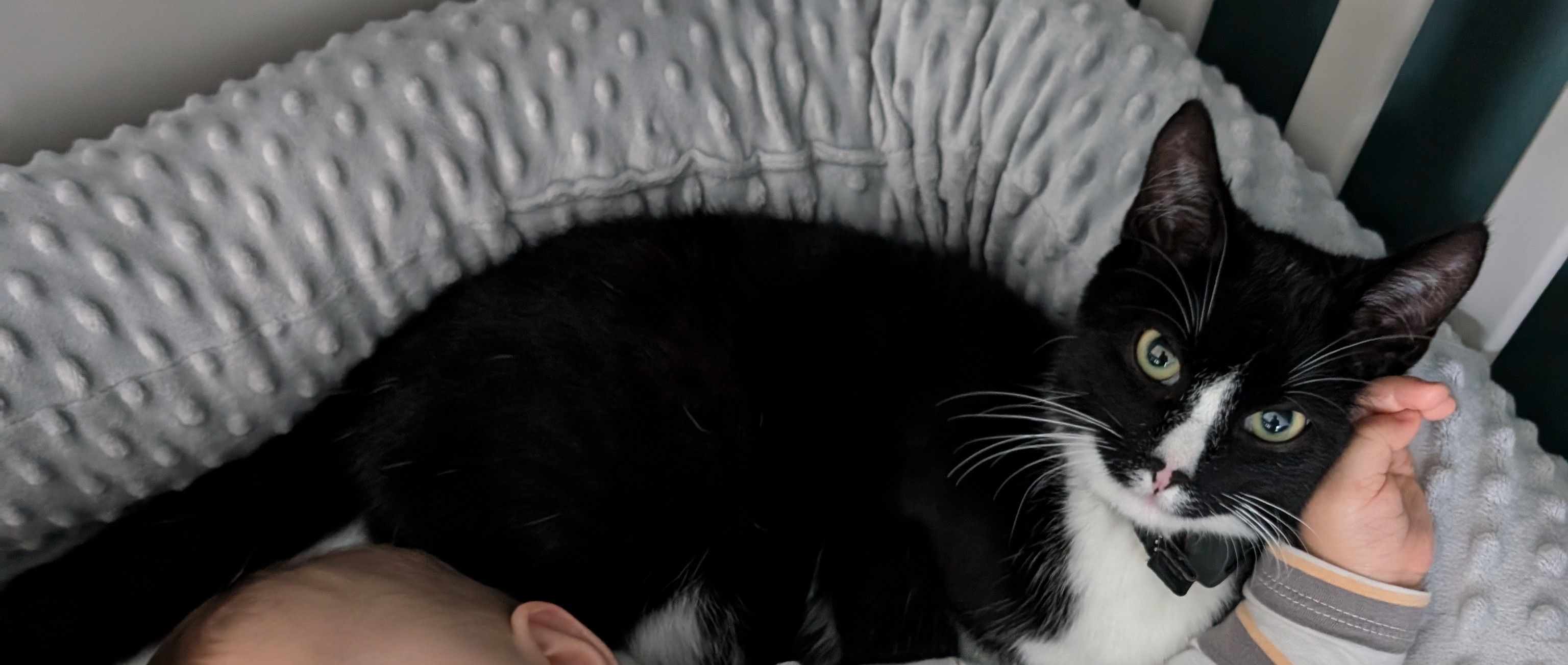 Mogli - Udenborner Straße, Wabern