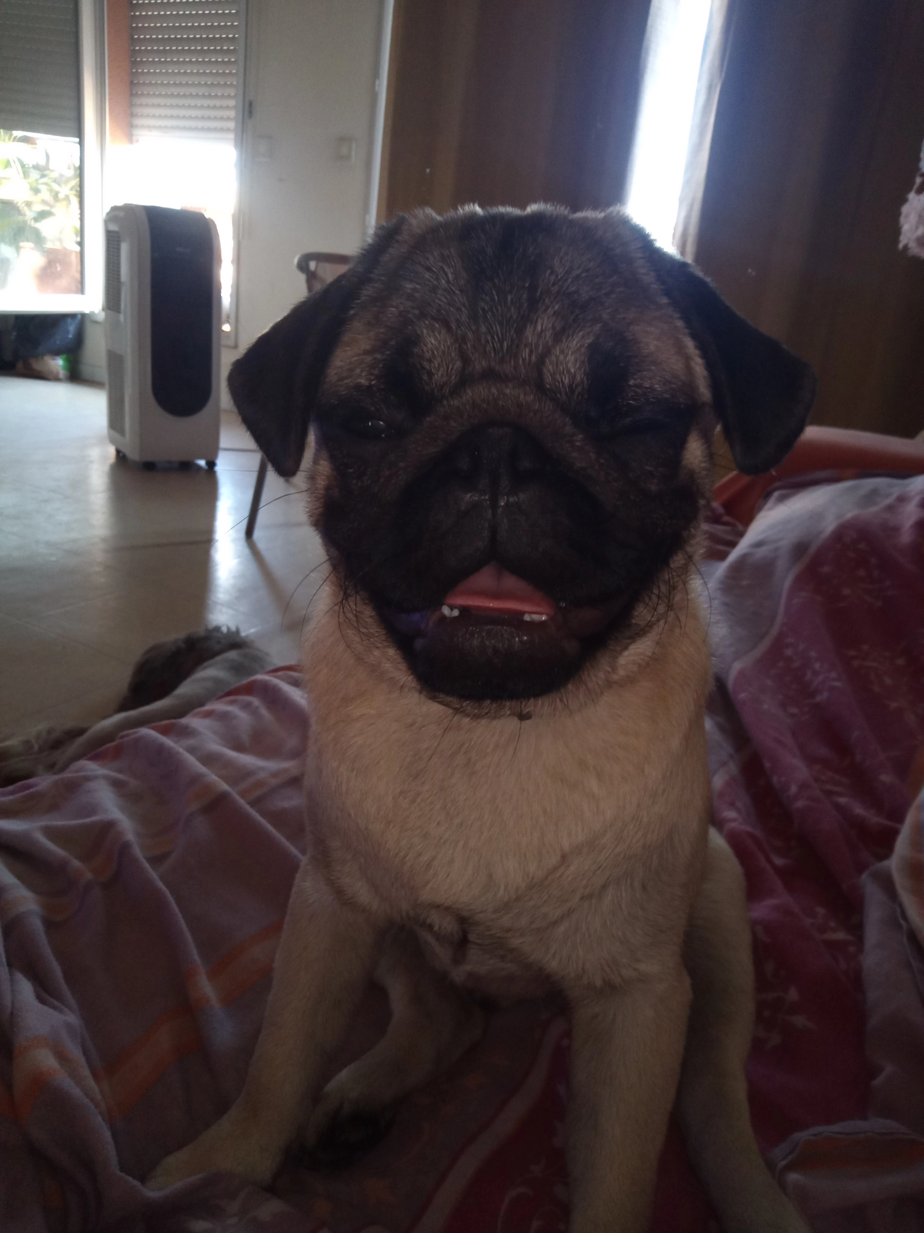 Ary - Chemin De La Tresque, Les Pennes-Mirabeau