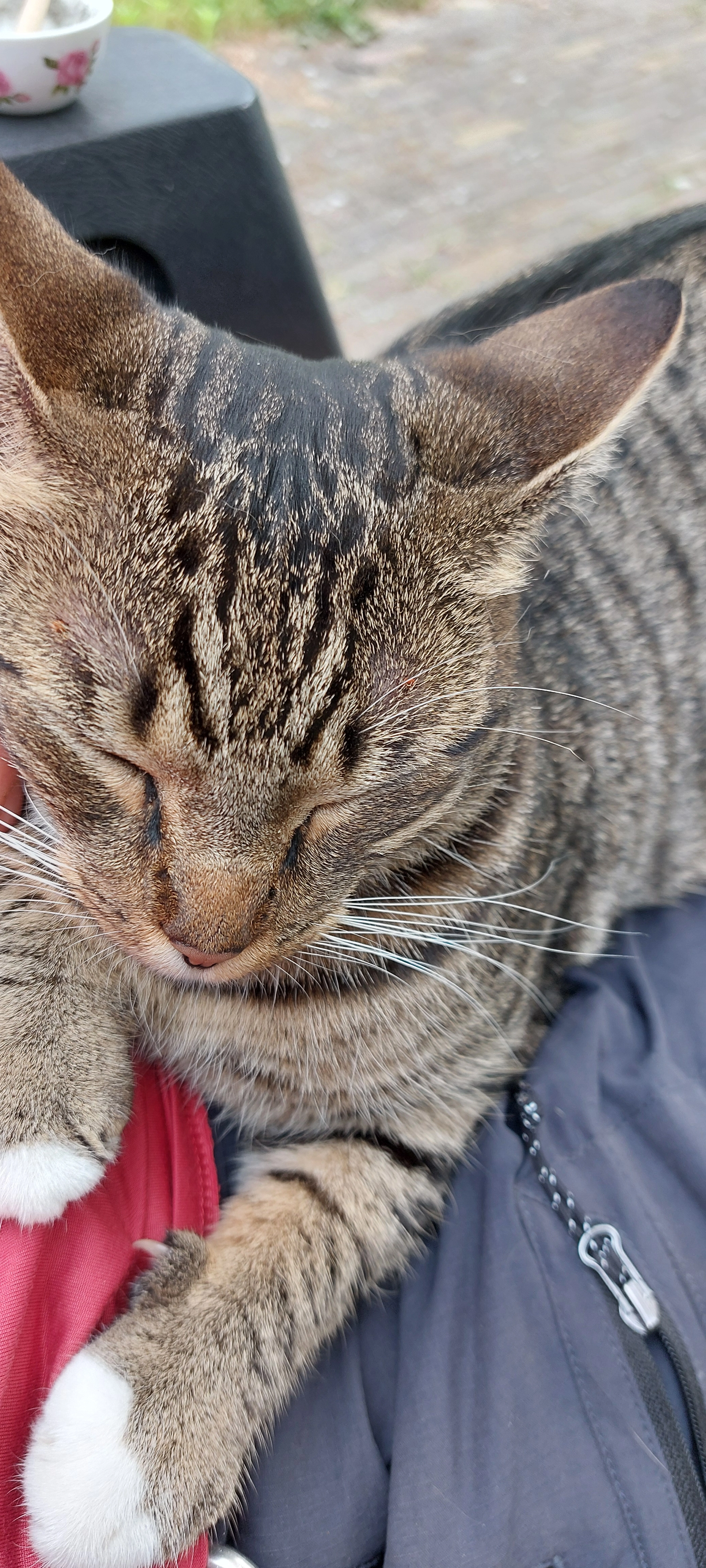 Droppie - Bovendwarsweg, Gelderland