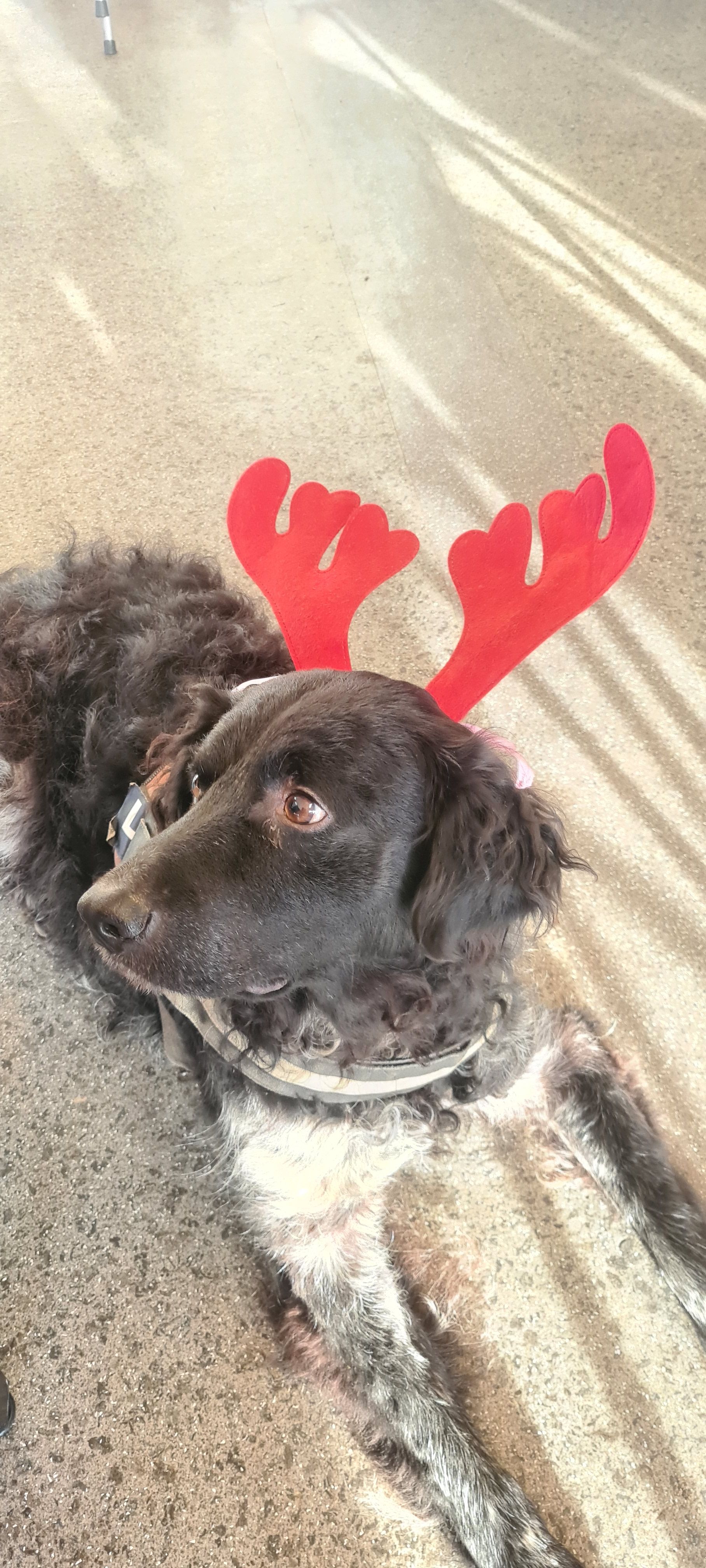 Lemmy - Jensemaheerd, Groningen