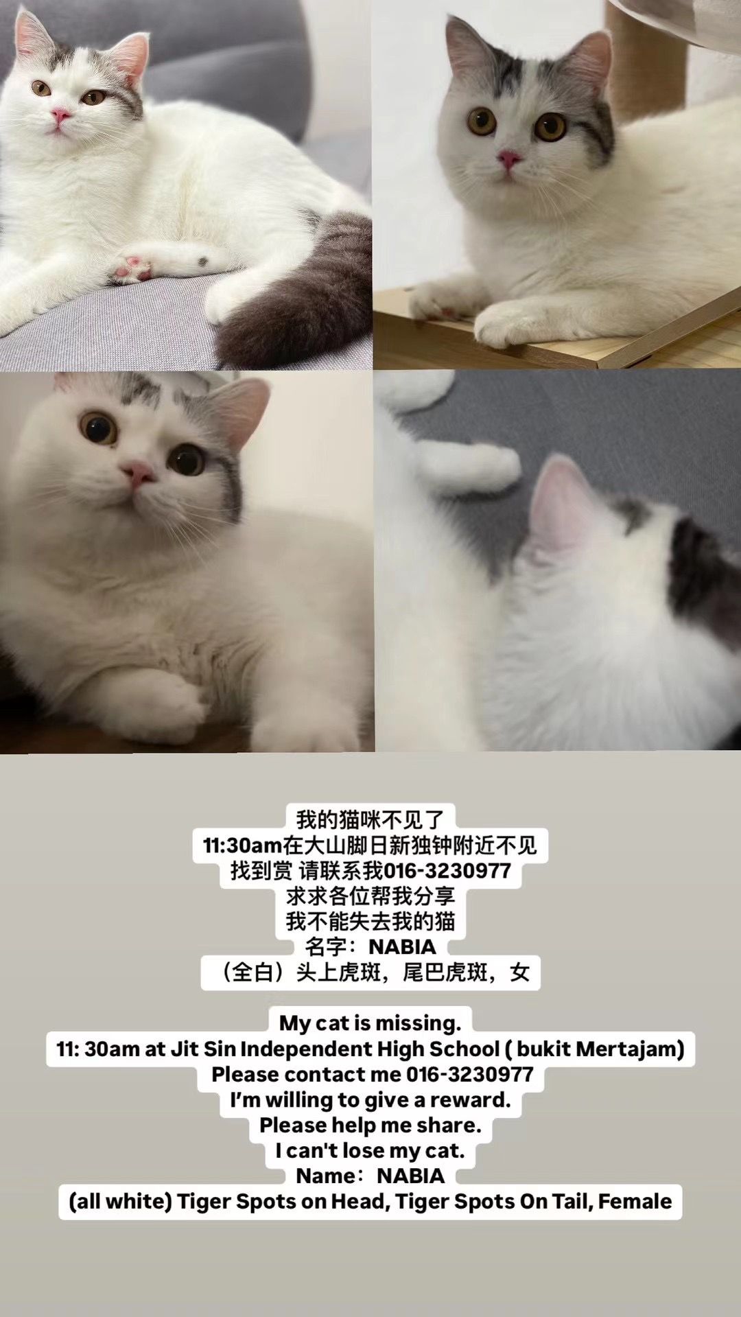 NABIA - Lorong Usahaniaga 4, Bukit Mertajam