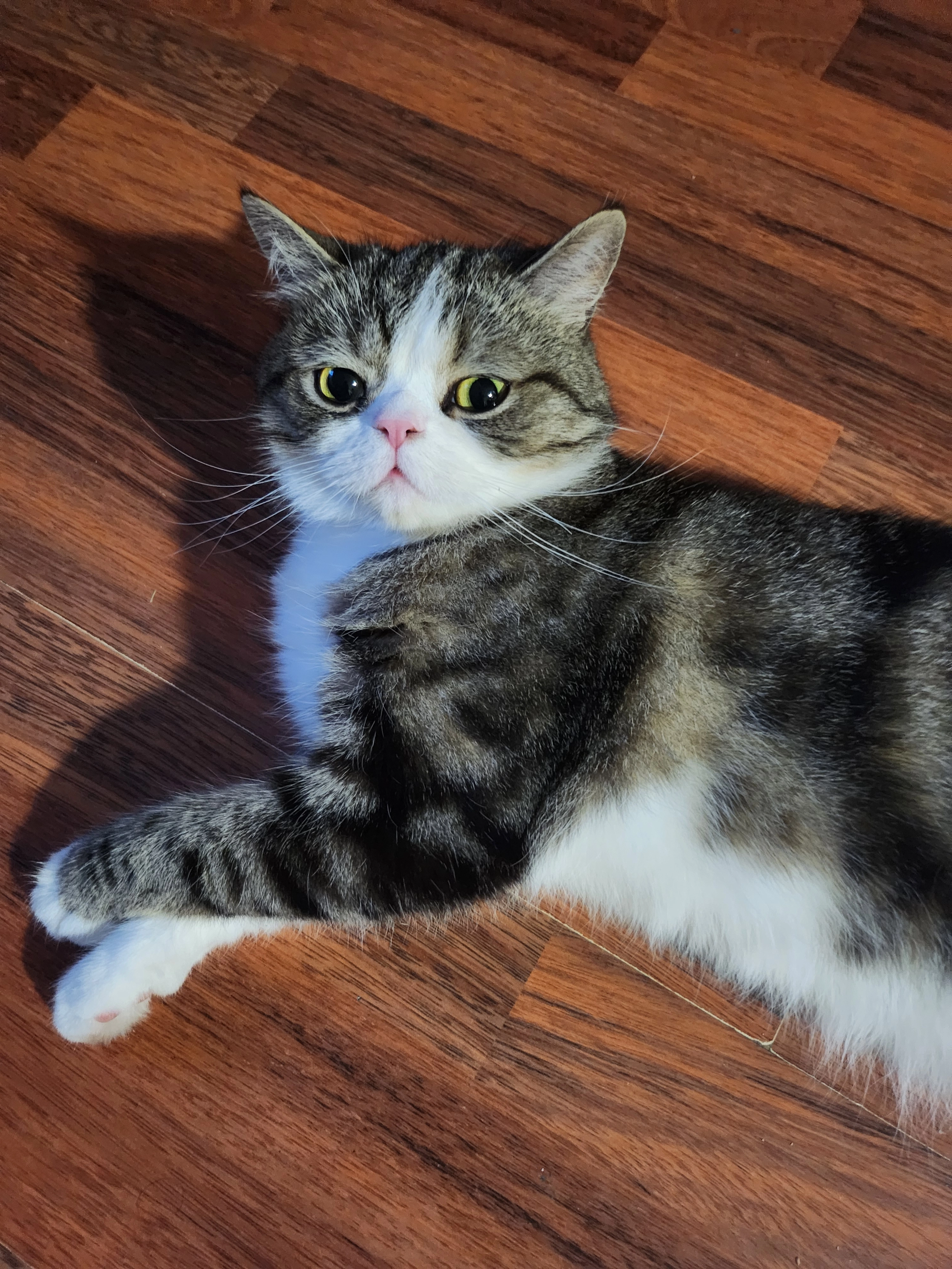 Sweet -  Passage des Acacias, Mulhouse