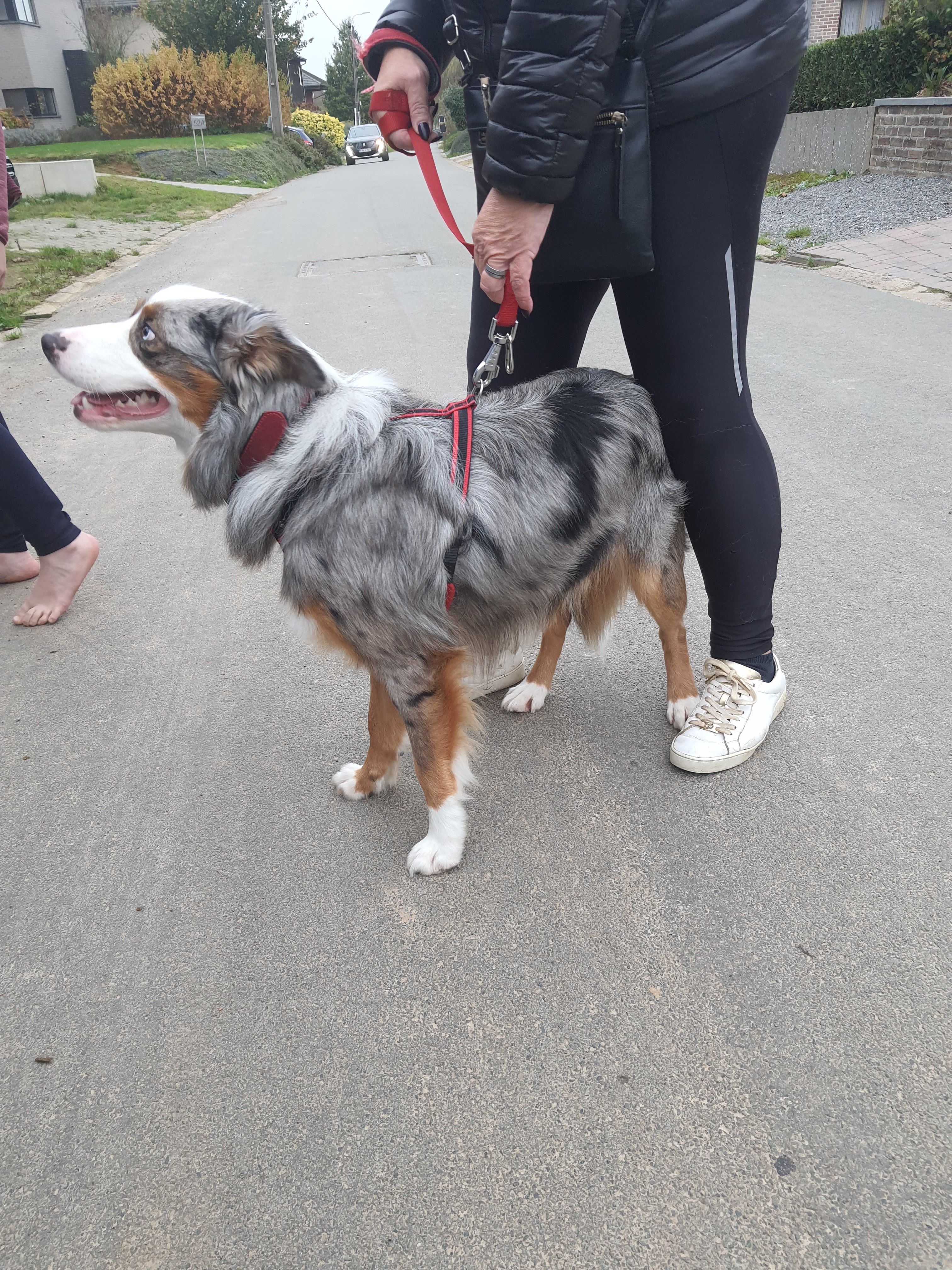 Ayko  - Honsemsestraat 27, Boutersem