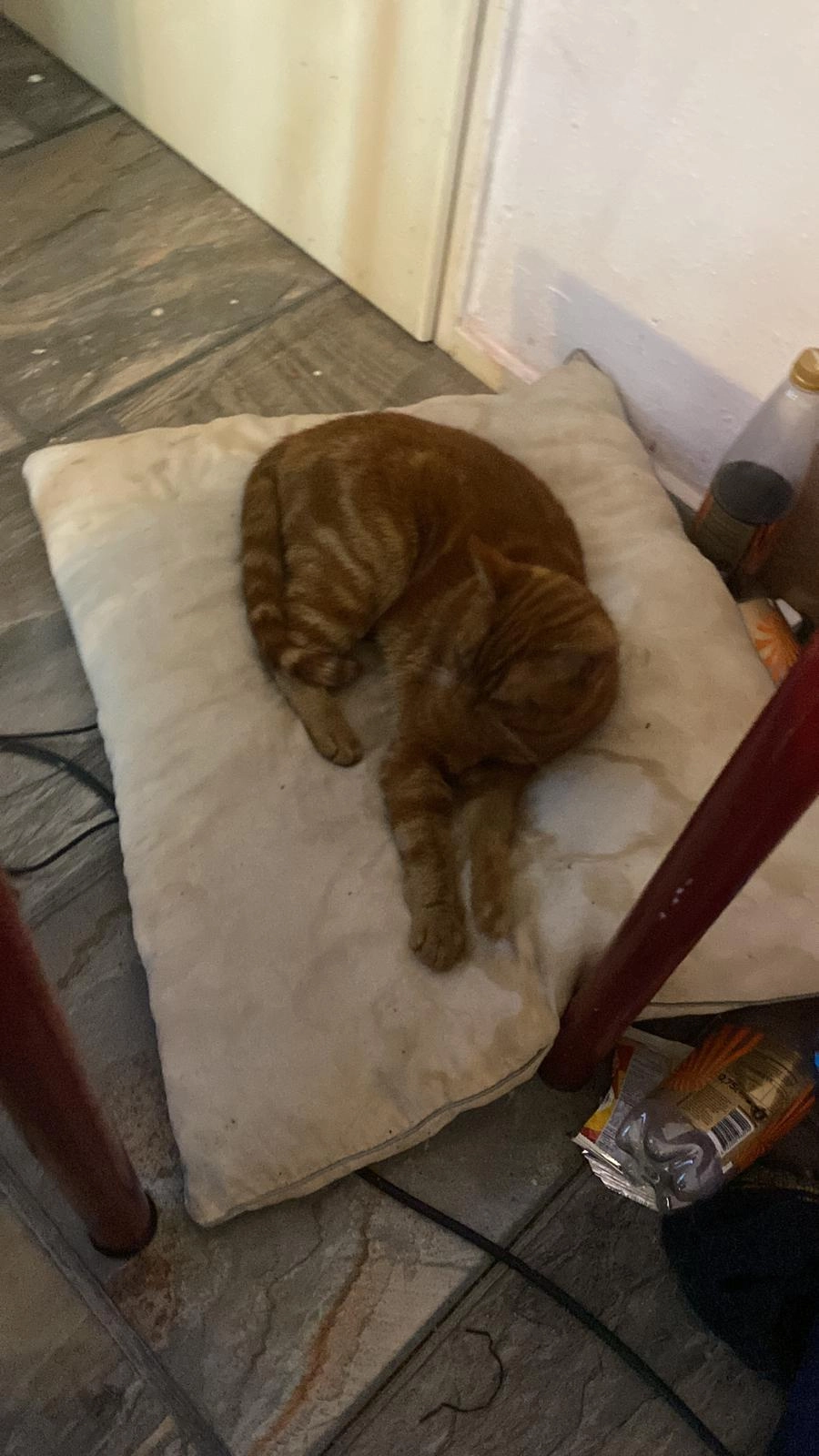 Carfield  - Schatzenburg, Eindhoven