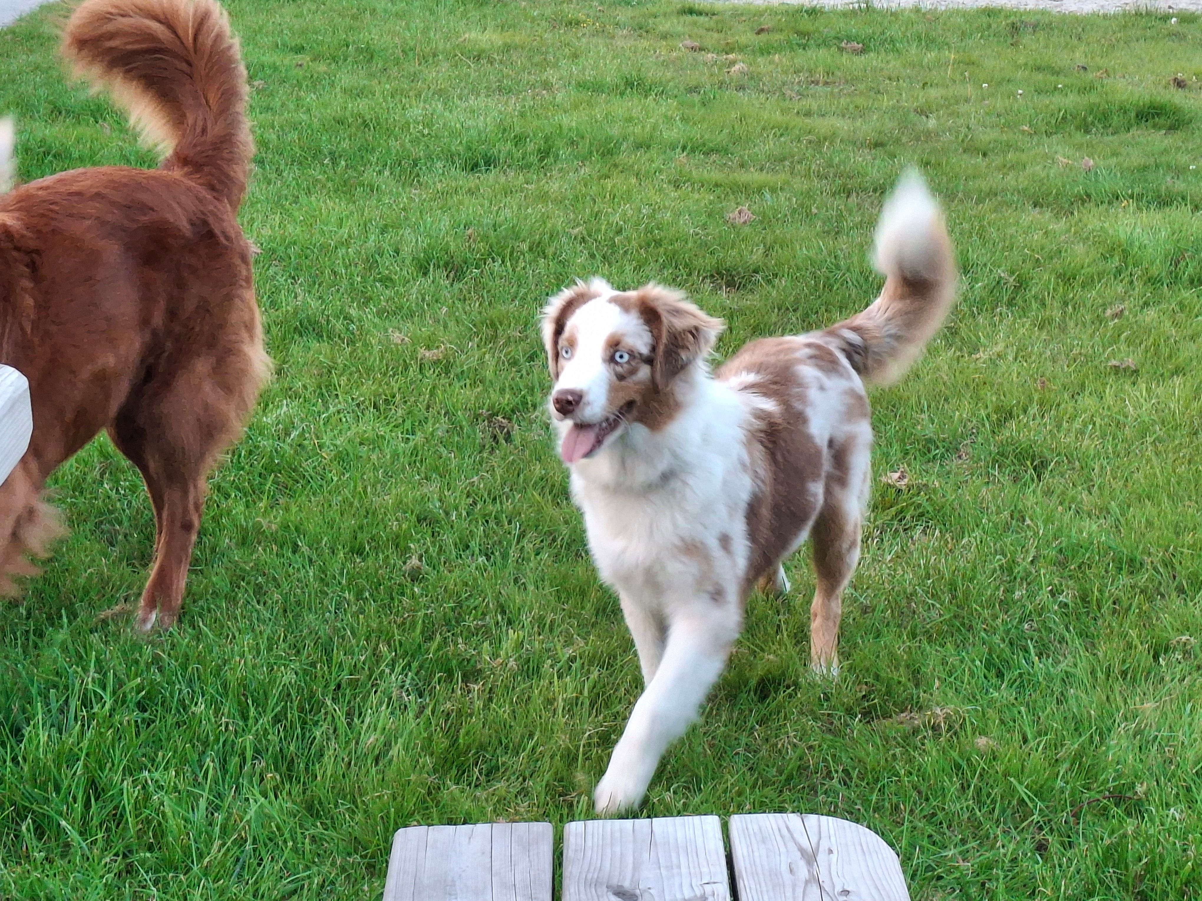 Lulu - Diefhoekstraat, Moerstraten