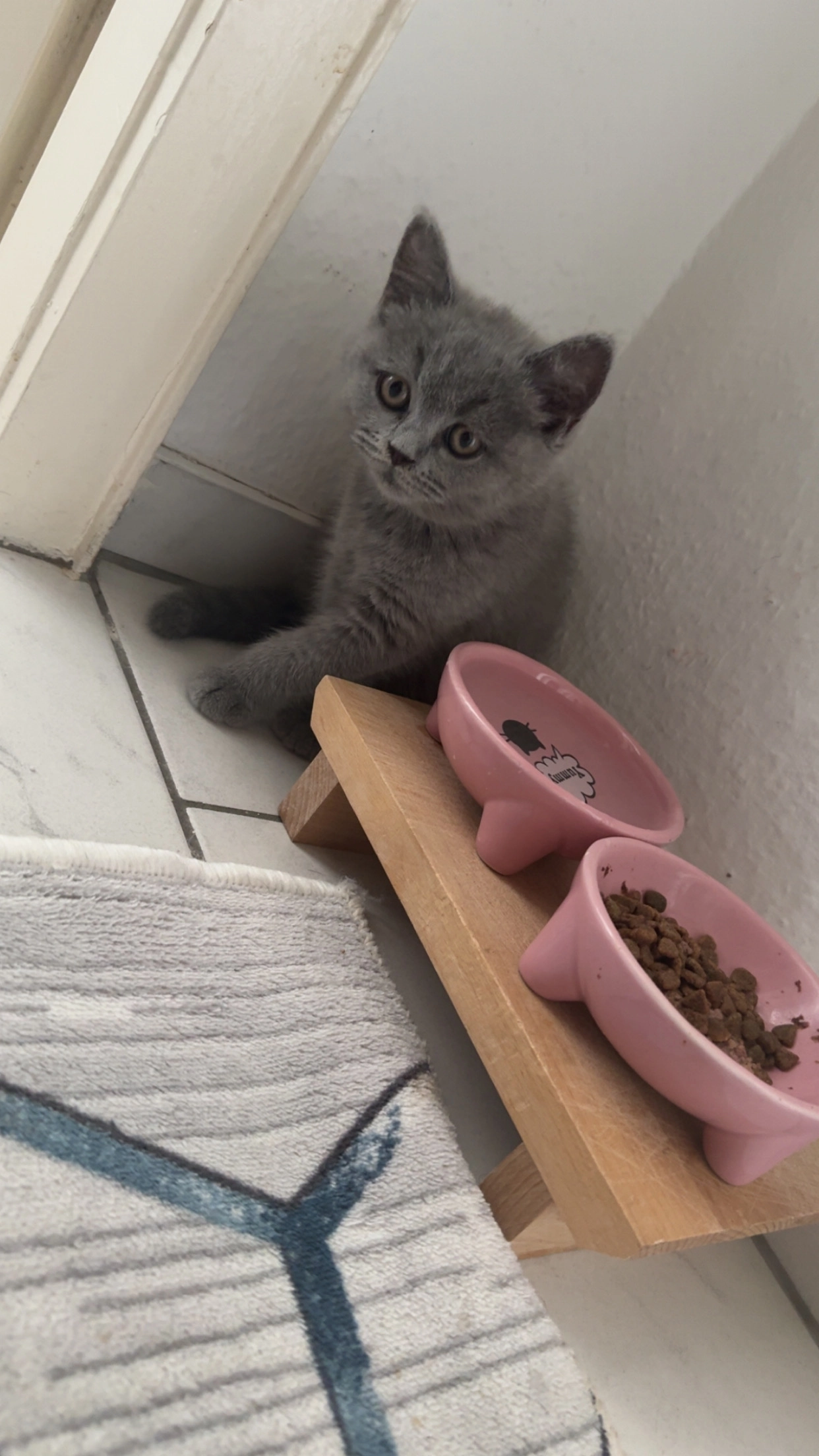 Gümüş - Unterer Sandweg, Wettstetten