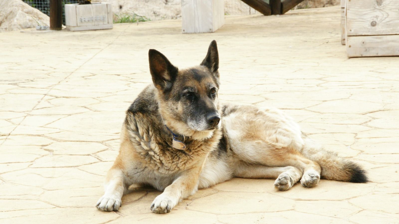 Yuma - Calle Rojas, Málaga