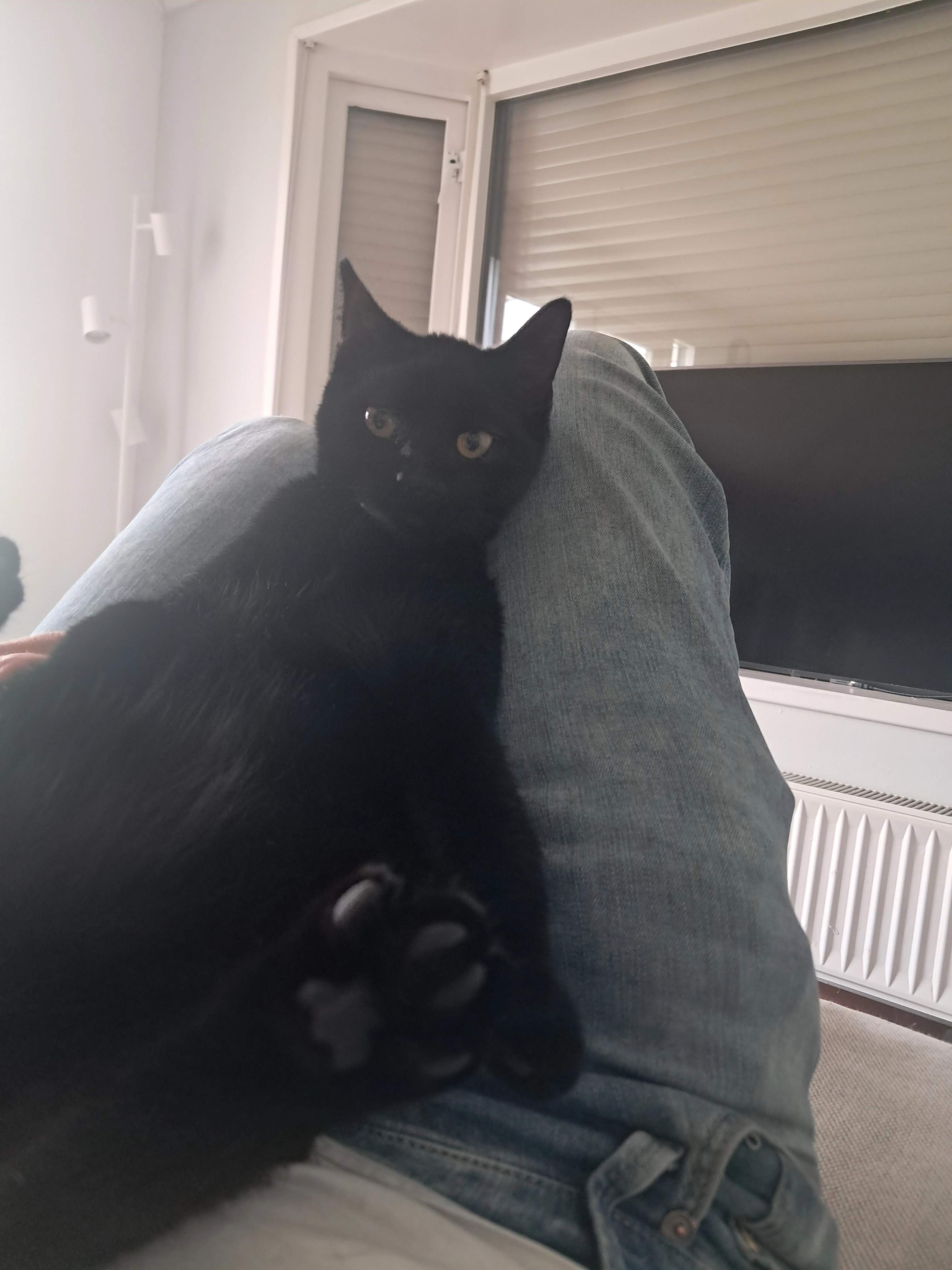 Droppie - Monseigneur Bekkersstraat, Ledeacker