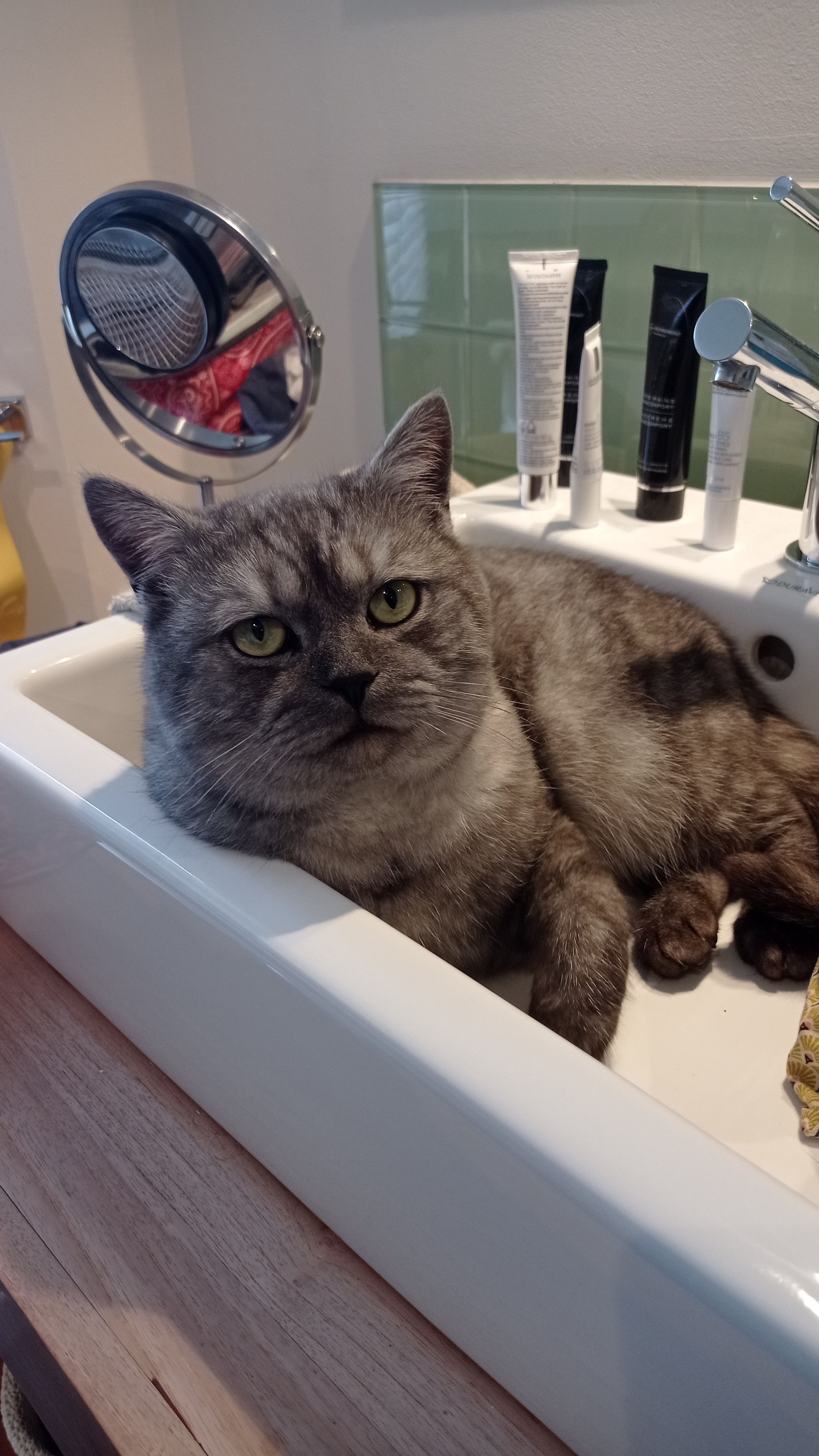 Fredo - Le Raumont 1A, Ferrières