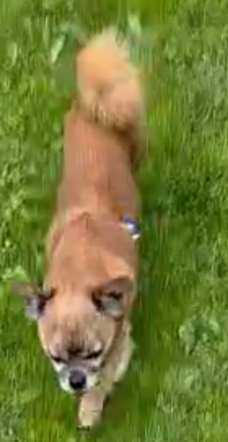 Franek  - Molenkolk, Anna Paulowna