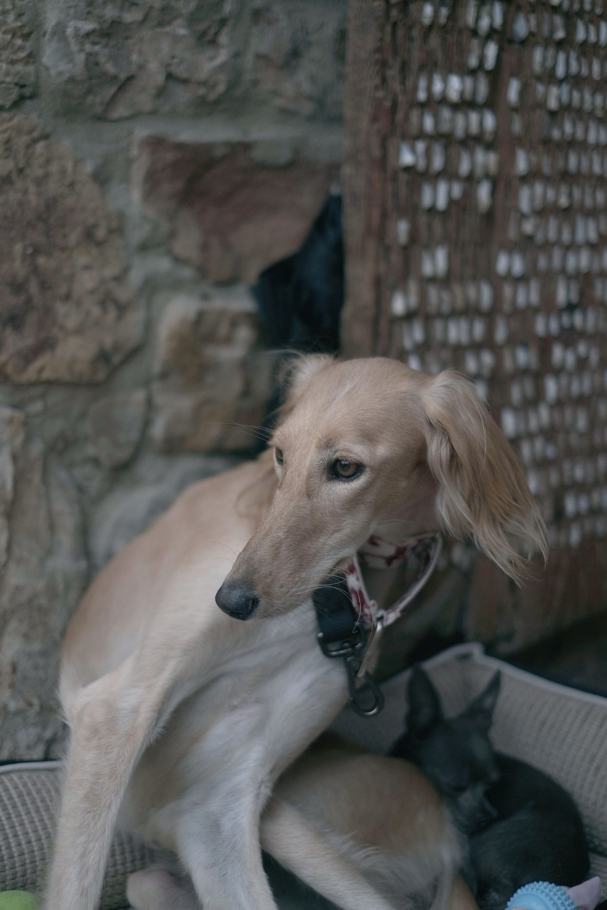 Hermione  - Barros, Los Corrales de Buelna