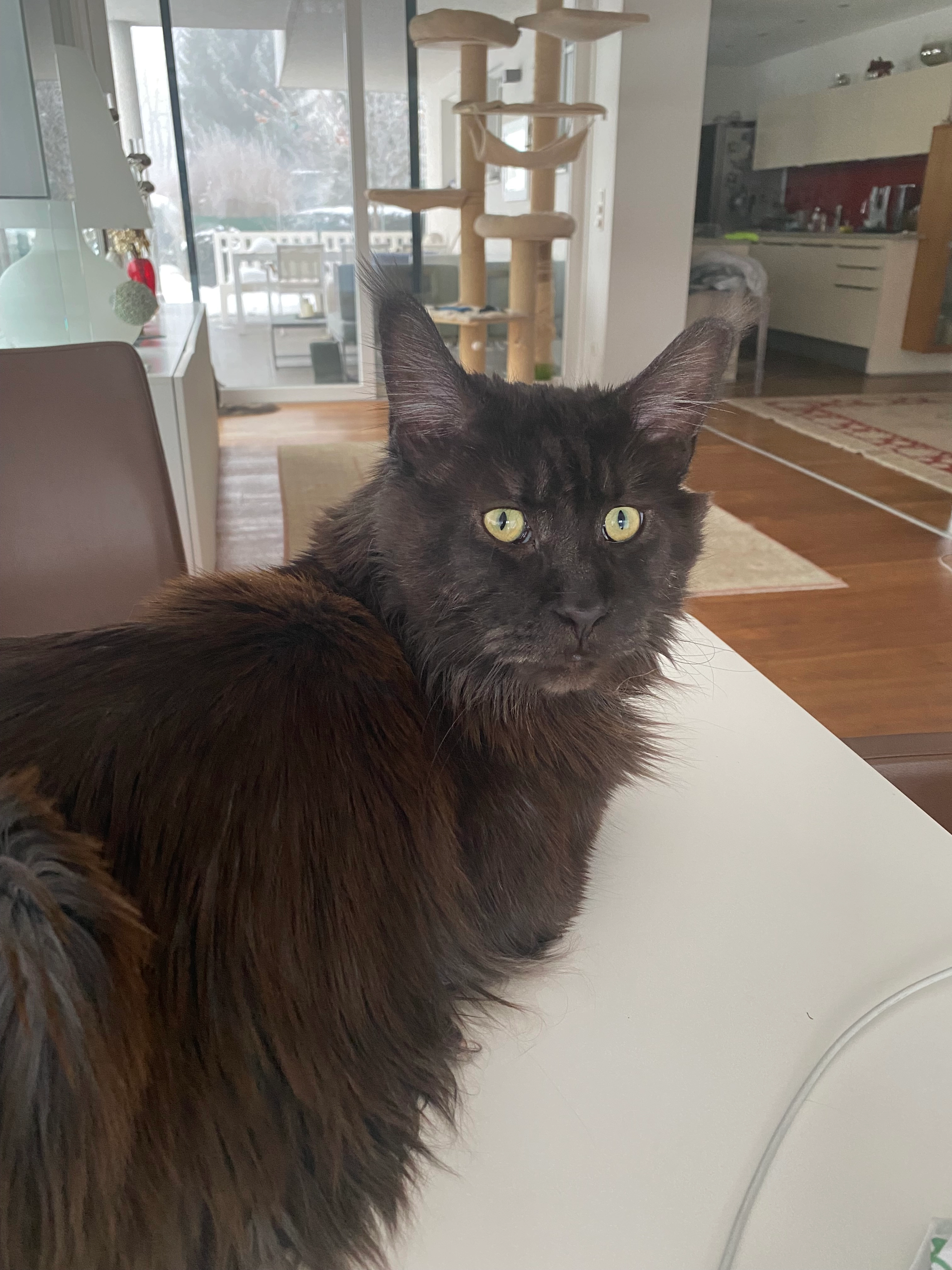 Quincy  - Julius-Raab-Straße 8, Klagenfurt am Wörthersee