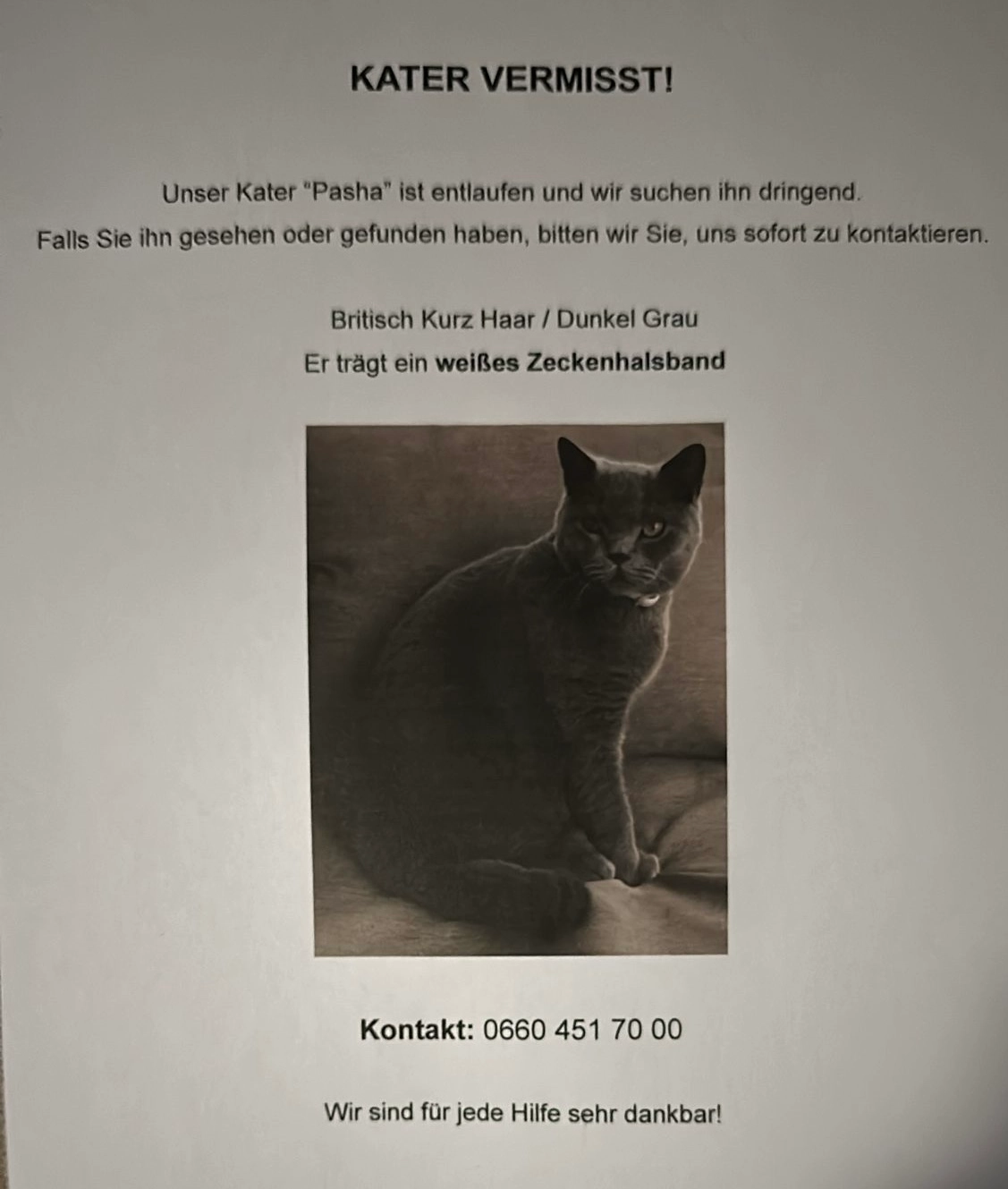 Pascha - Alanovaplatz, Schwechat