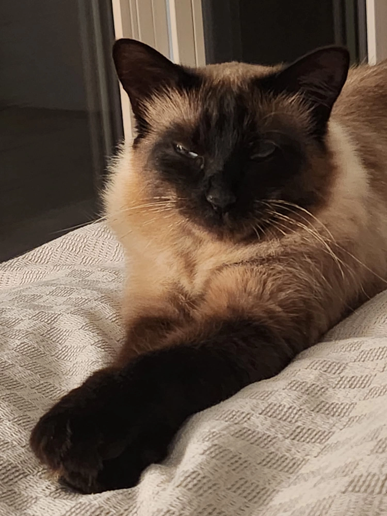 cino - Polheimer Weg, Seewalchen am Attersee