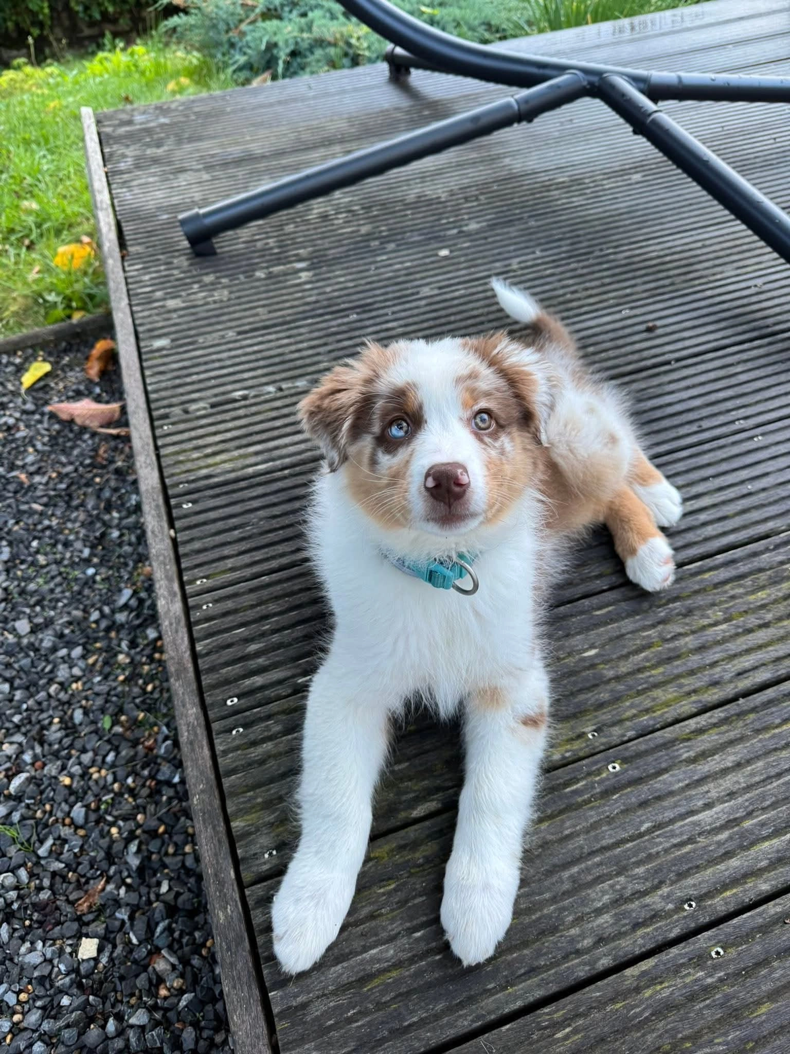 Aika - N 52, Villers-la-Montagne