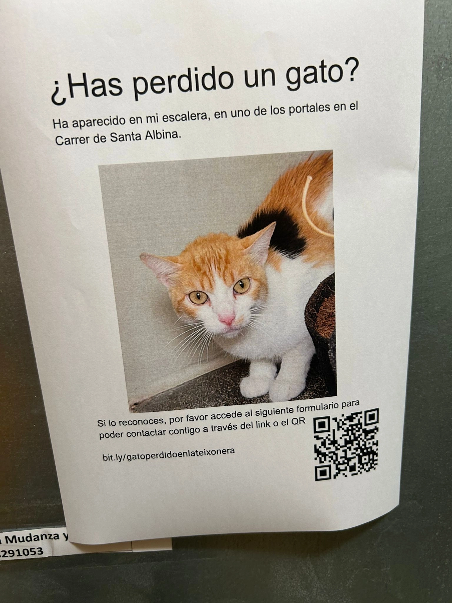 Misy - Carrer de Santa Albina, Barcelona