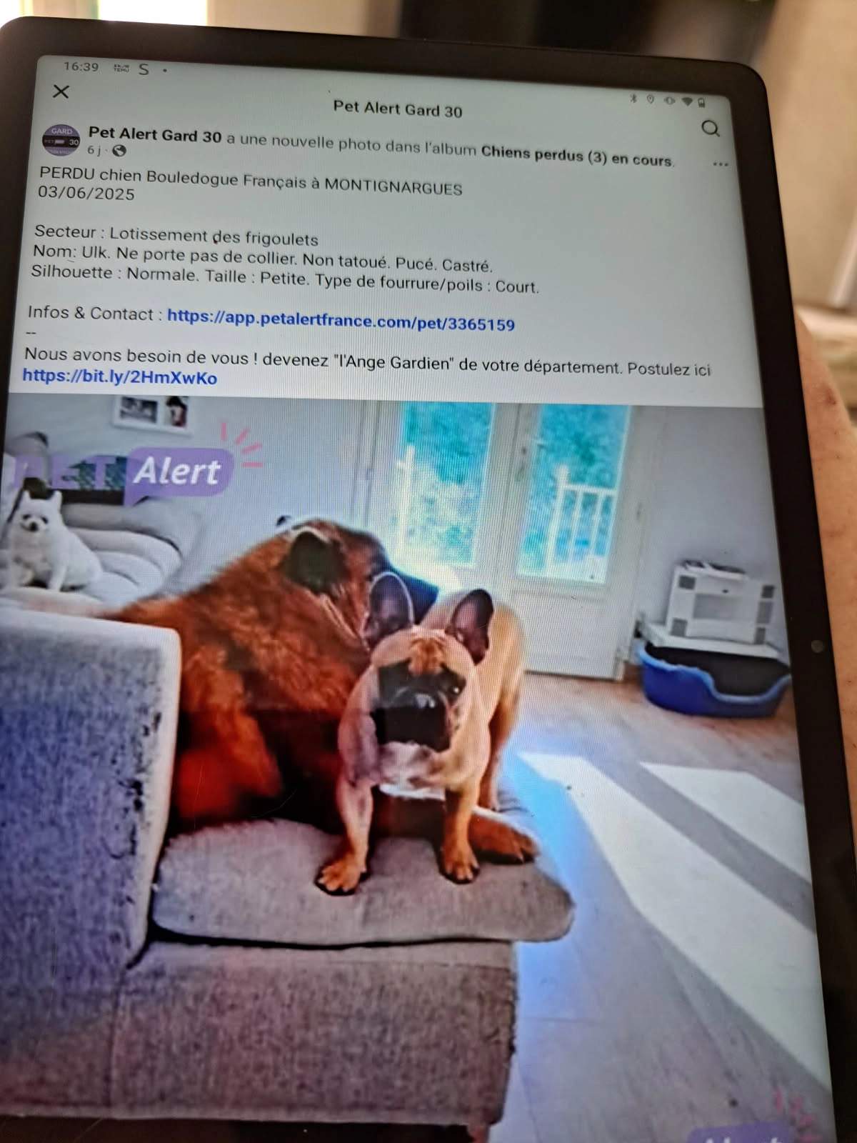 Ulk - Route de Montignargues, Saint-Geniès-de-Malgoirès