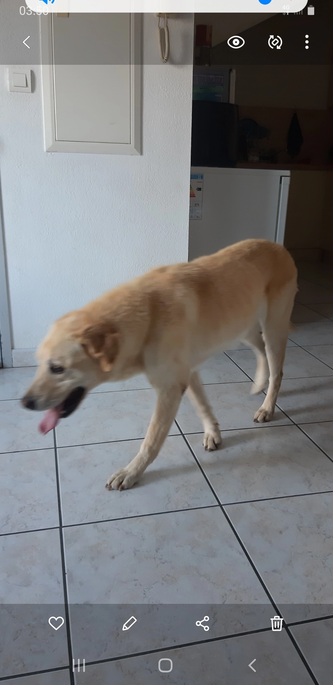 Gofy - 5 Rue Gérard de Nerval, Perpignan