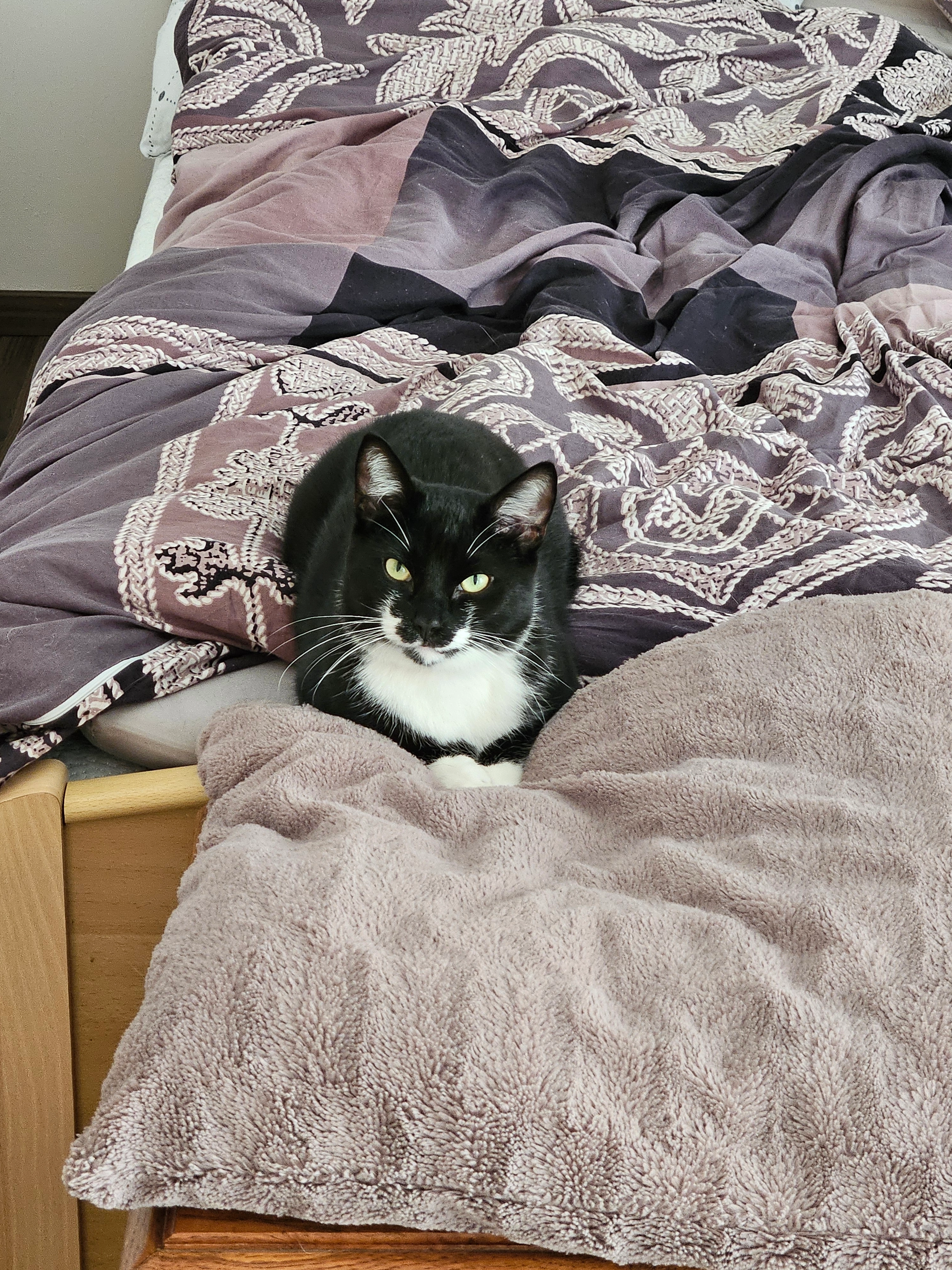 Loki - Zur Koppel, Ahausen