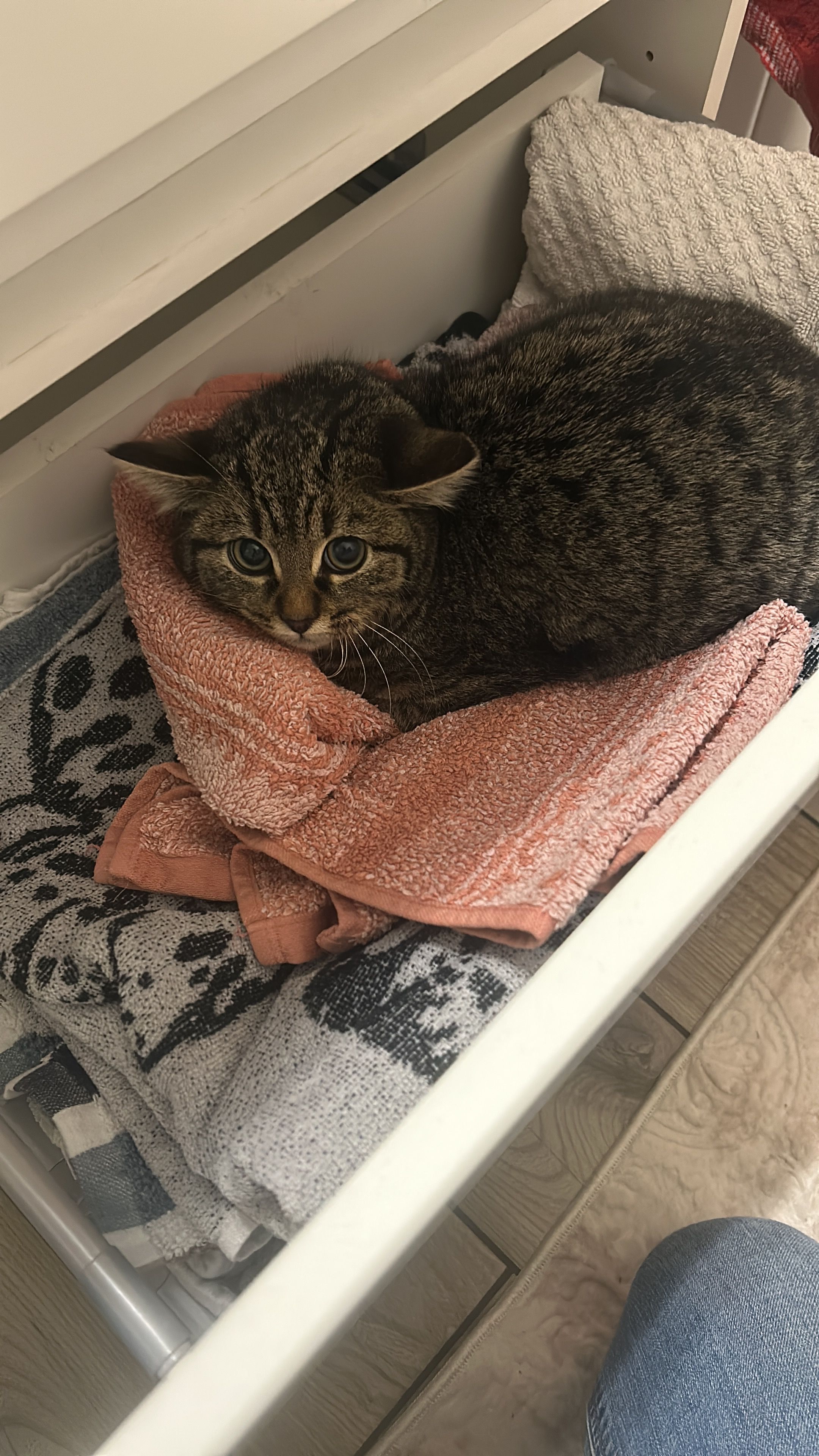 Coco - Hofer Straße, Traunreut