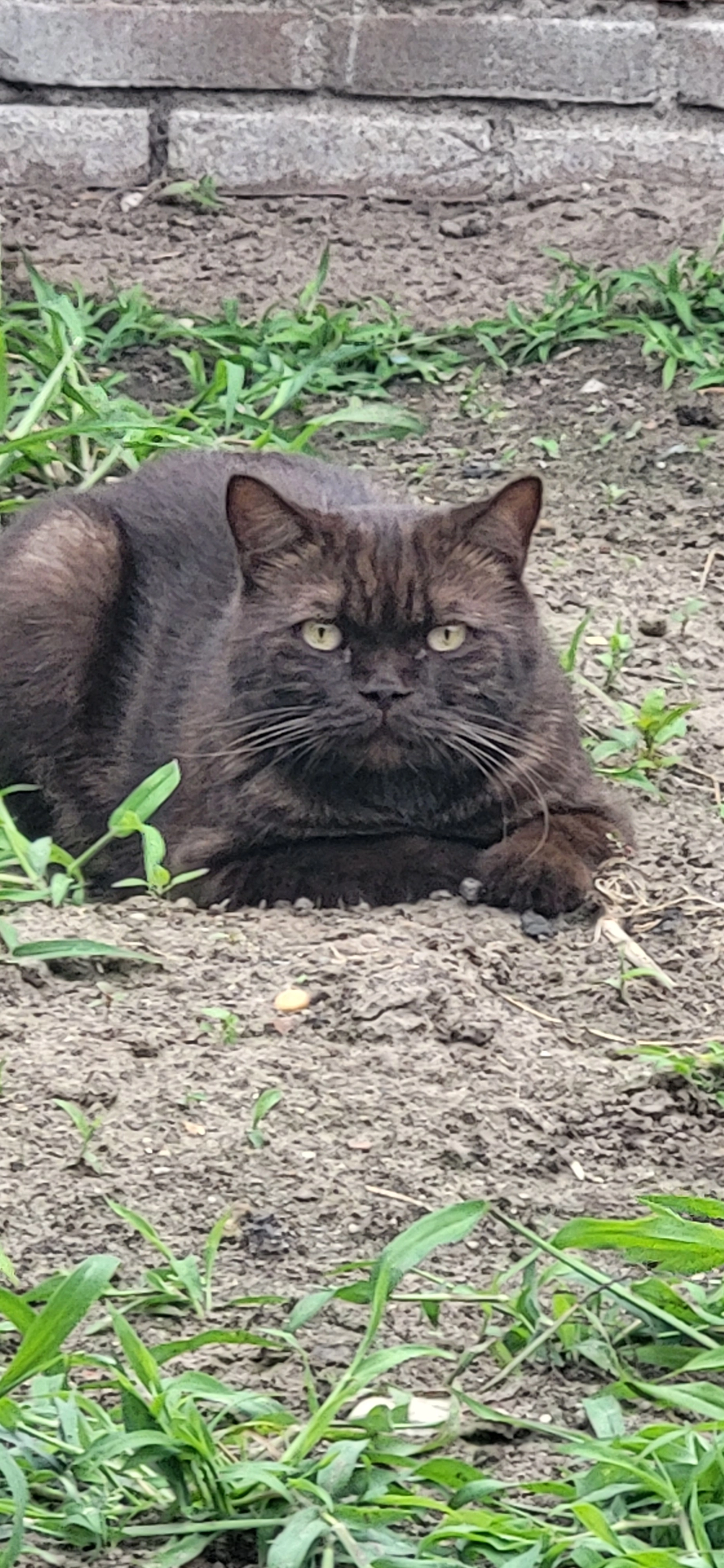Ciko - Bisschop Bekkerslaan, Eindhoven