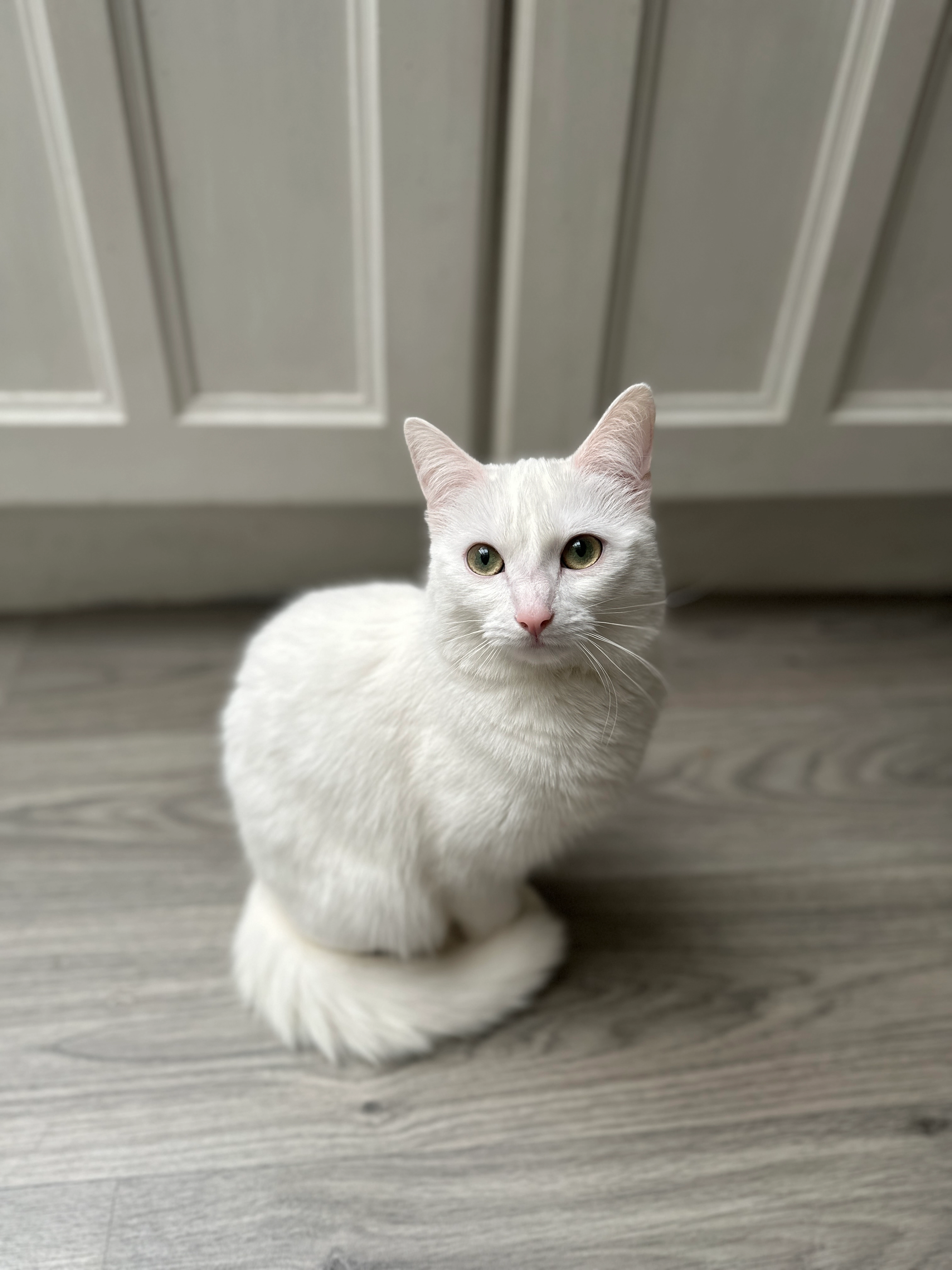 Walter - Lower Cliff Road, Great Yarmouth