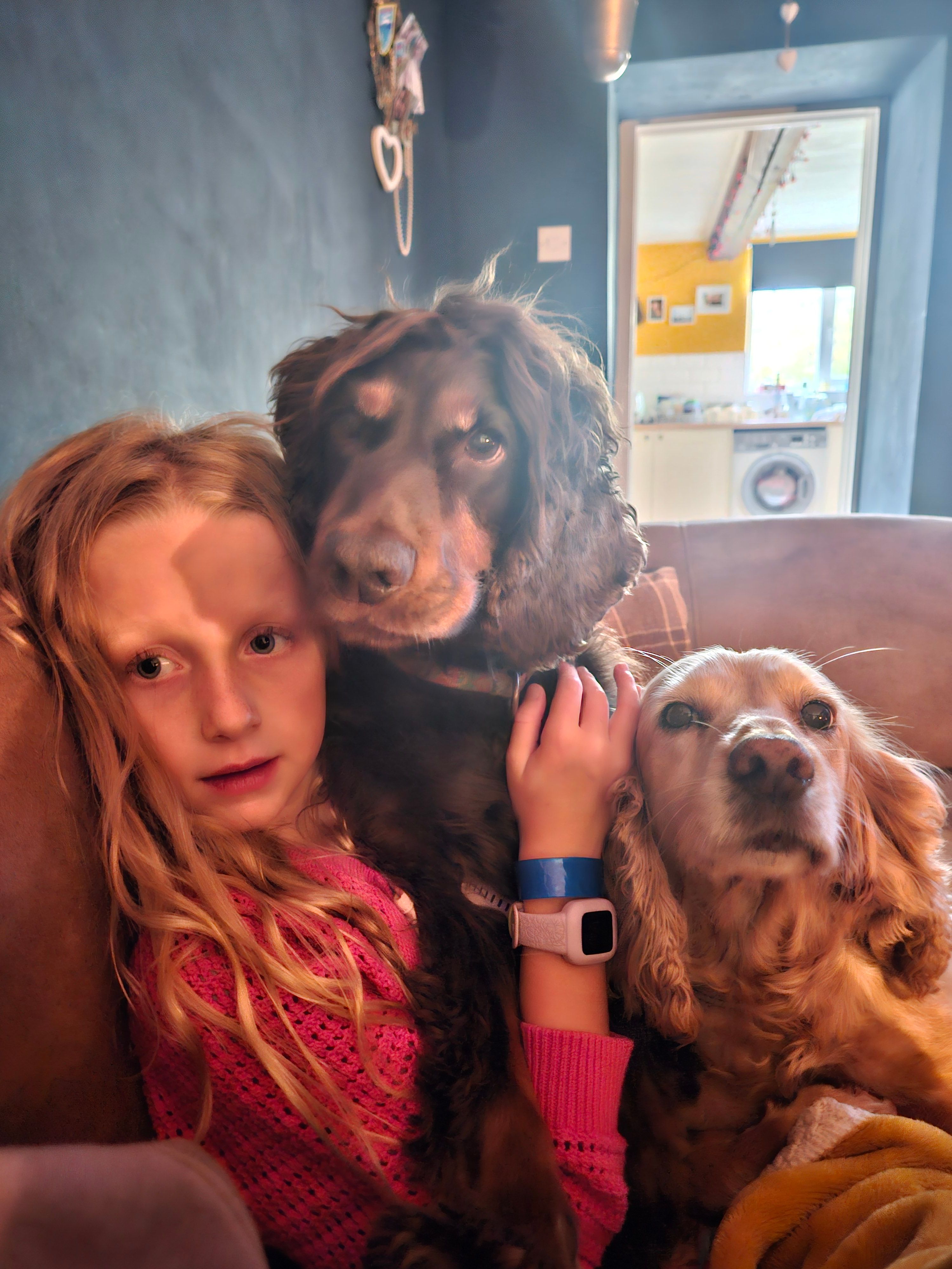 Opie - Brown Bank Road, Ripon