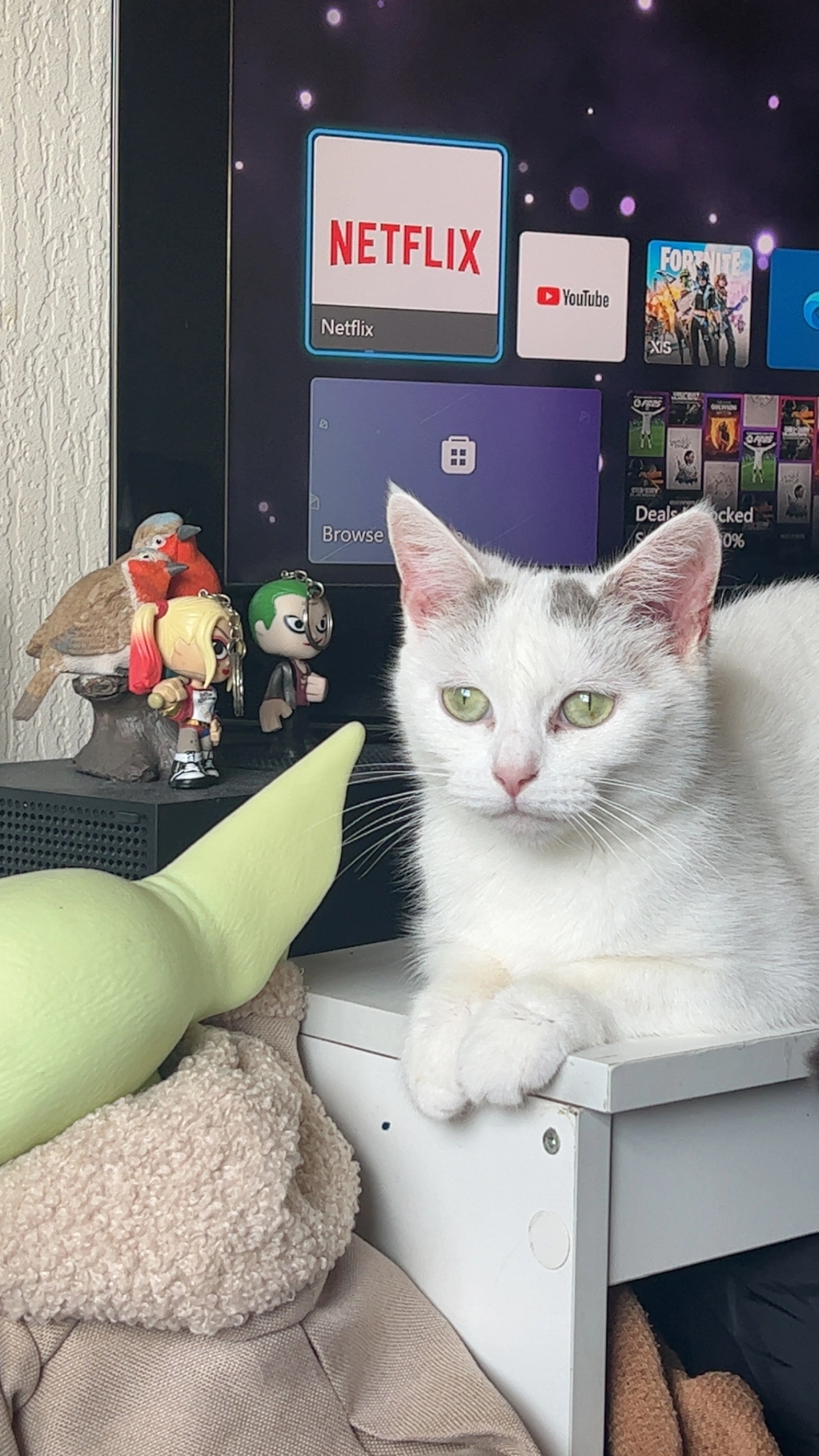 Nala - Grove Avenue, Walton-on-the-Naze