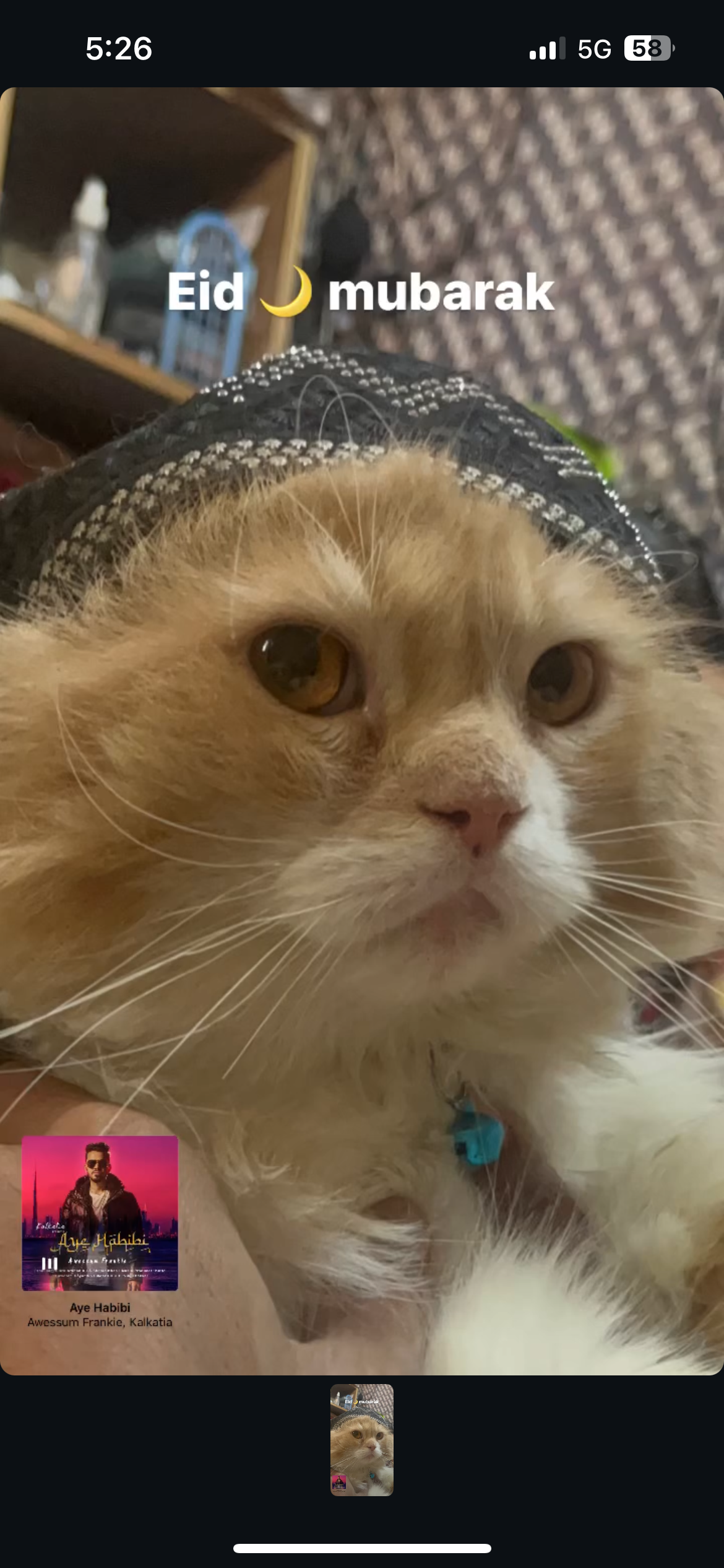 Bruno - Prakash Nagarnavlakha Chauraha, Indore