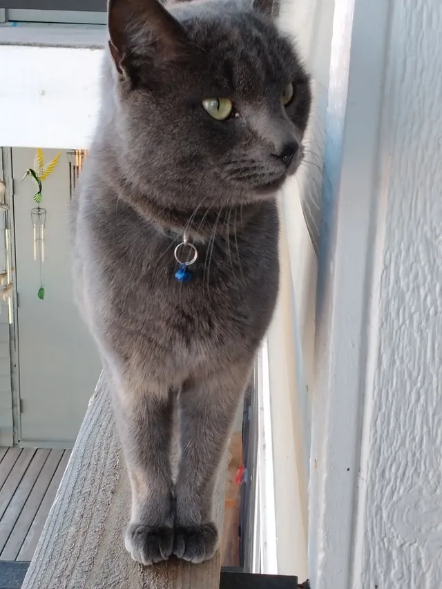 Smokey - South 20th Avenue, Brighton