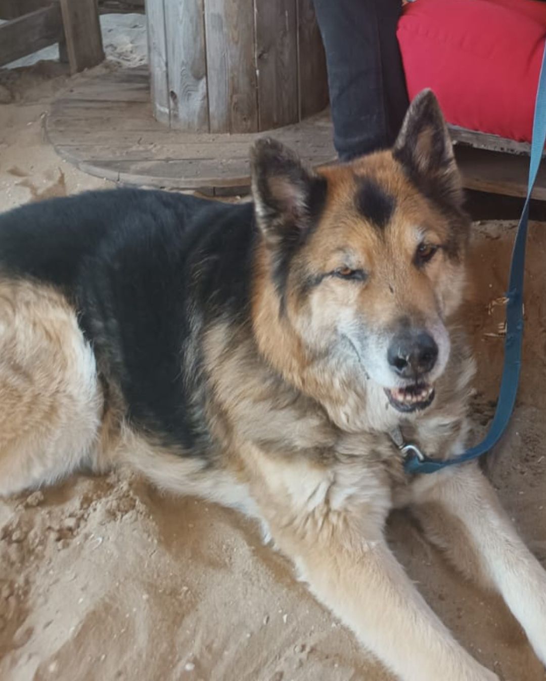 Bailey - Het Zandstuk, Heiloo