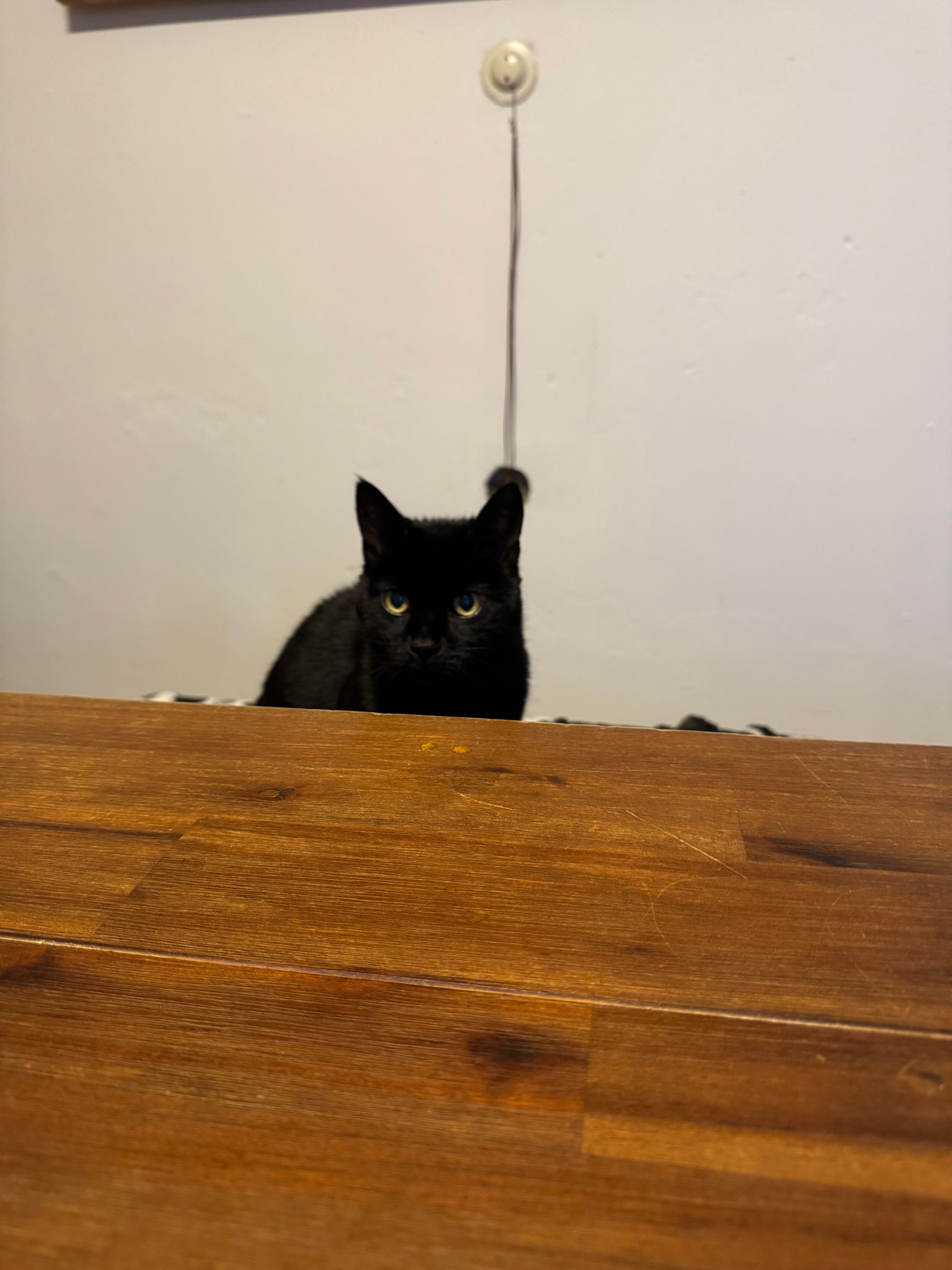 Blacky - Hohenloherstraße, Schnelldorf