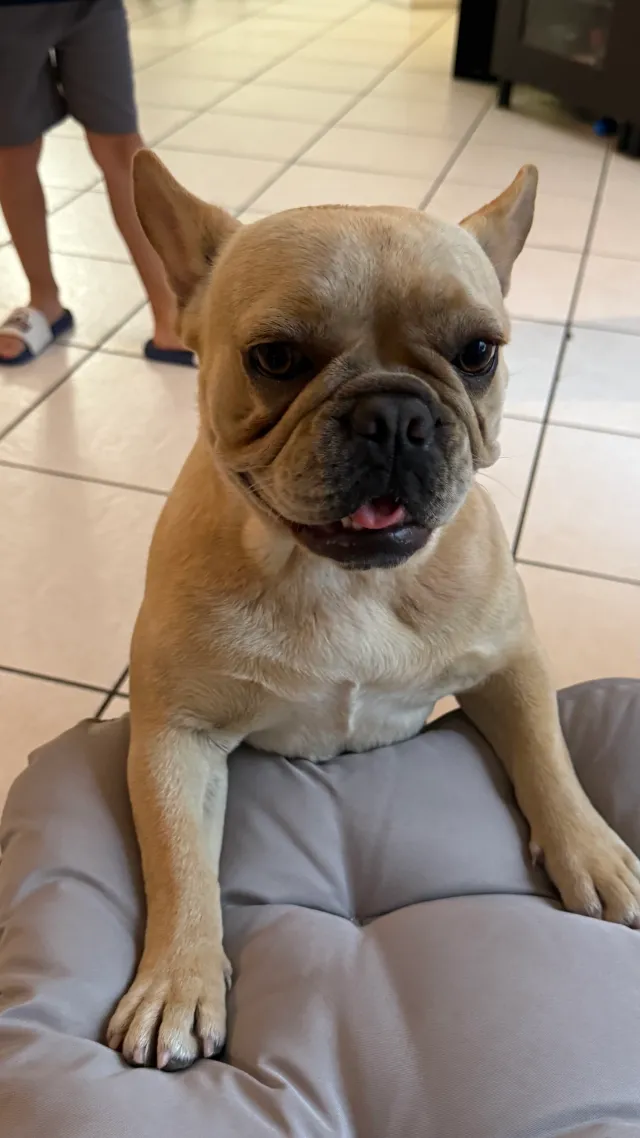 Se le perdió a alguien - Northwest 15th Court, Pembroke Pines