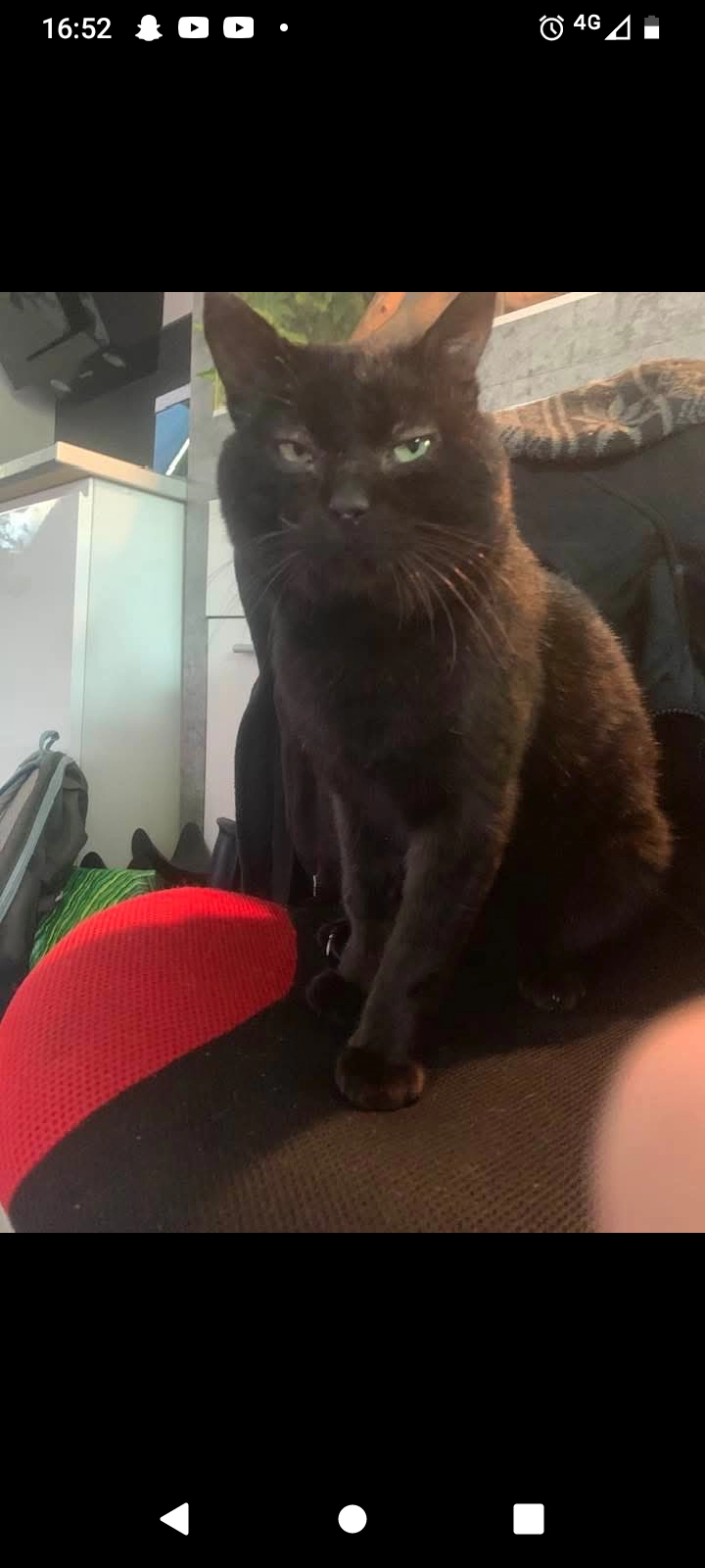 Crayon - 28 Rue de Valdoie, Belfort