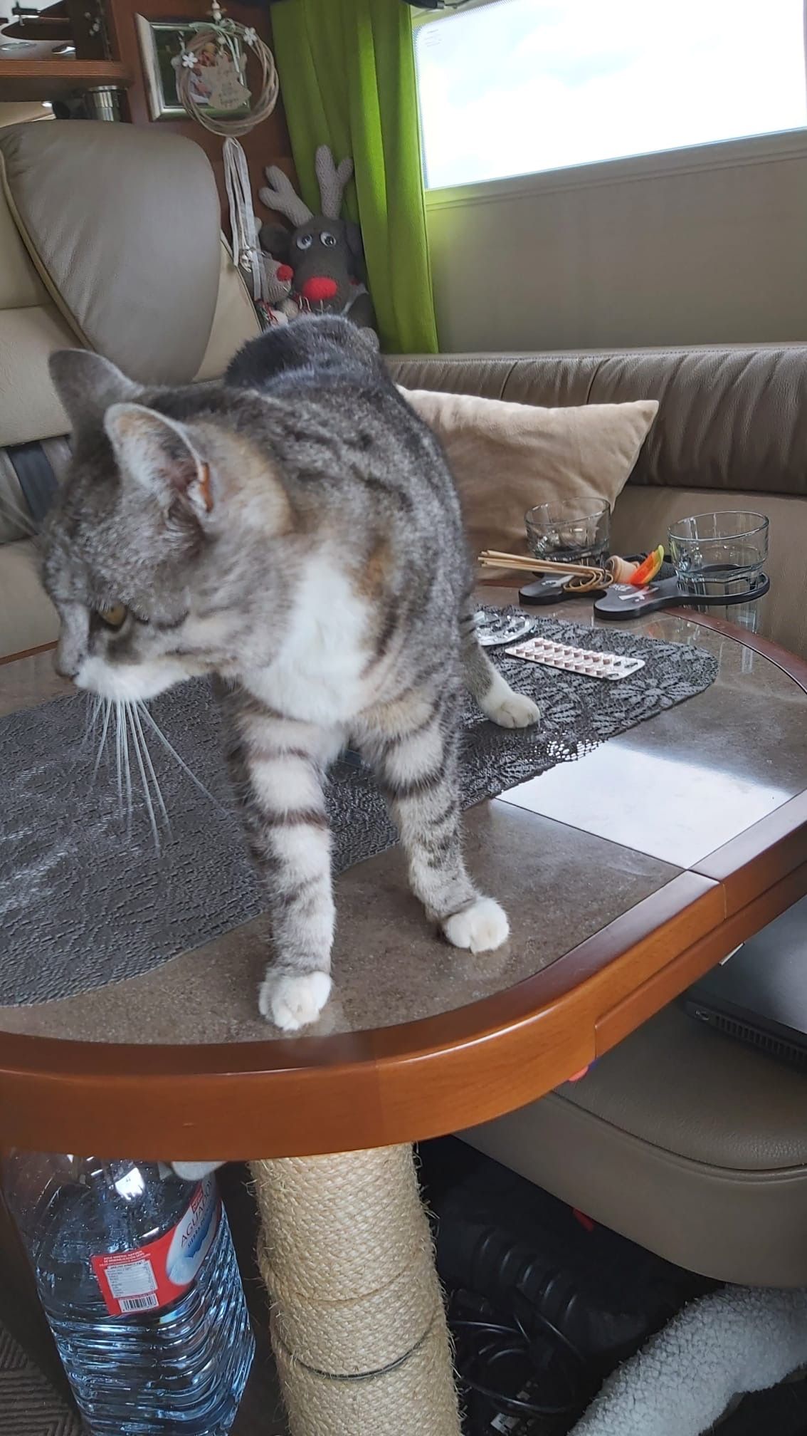 Lissy - Dépose-Minute, Roullet-Saint-Estèphe