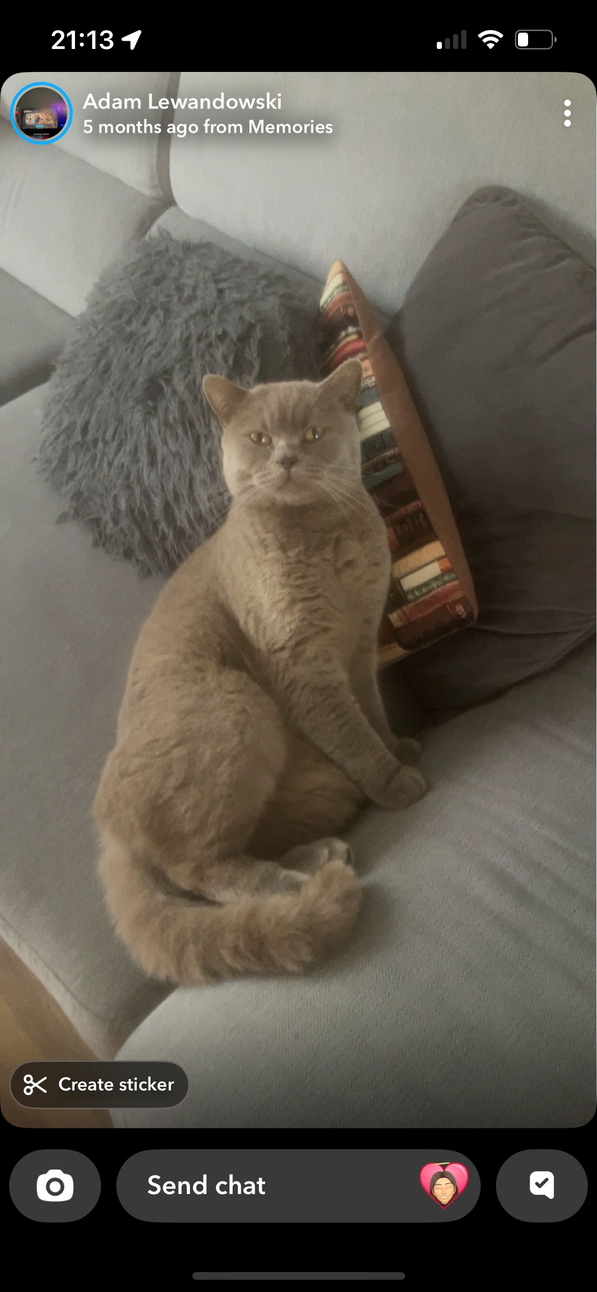 Smokey  - Lynsdale Road, Swansea