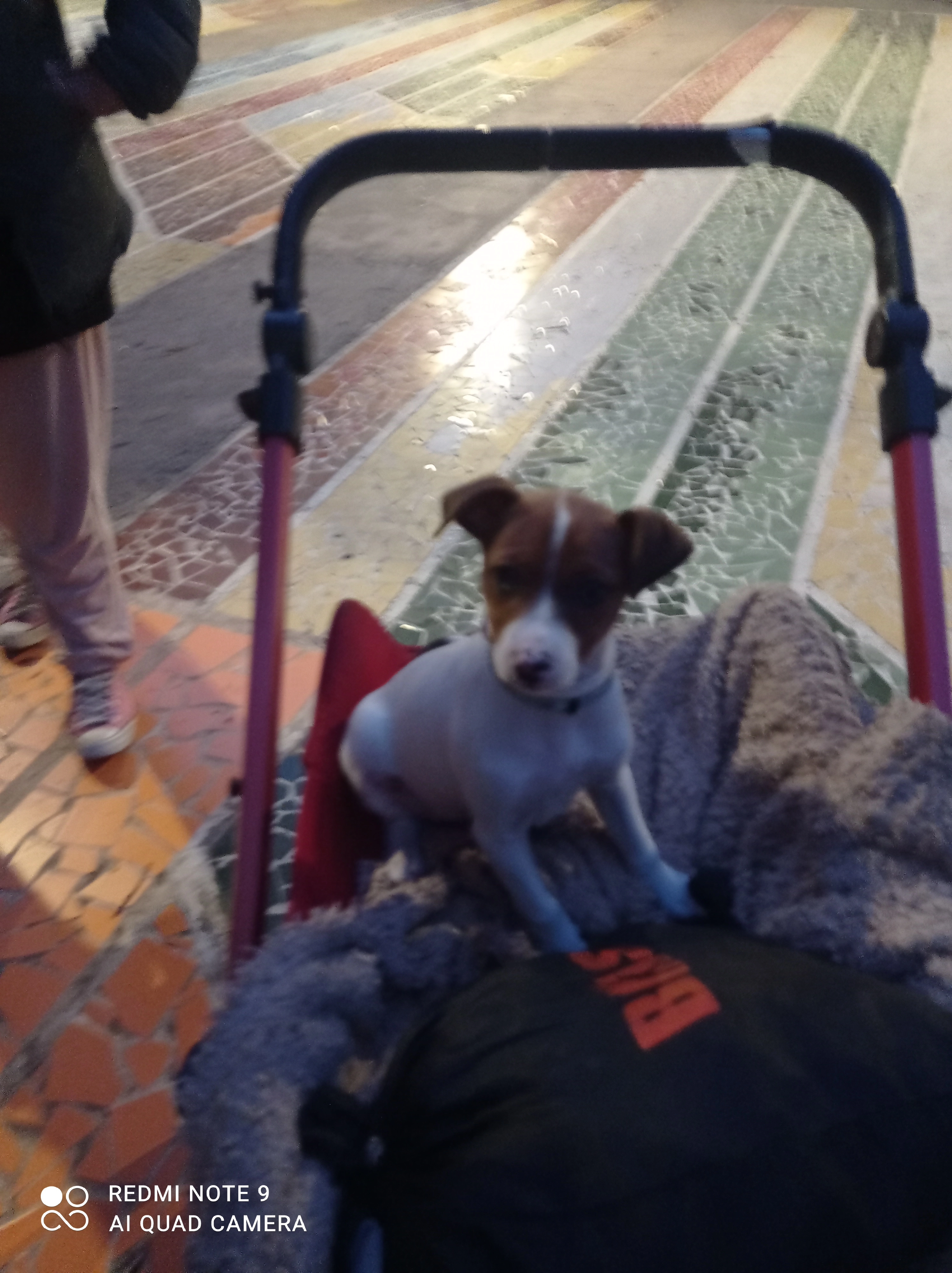 Manchitas - Pasillo de Santo Domingo, Málaga