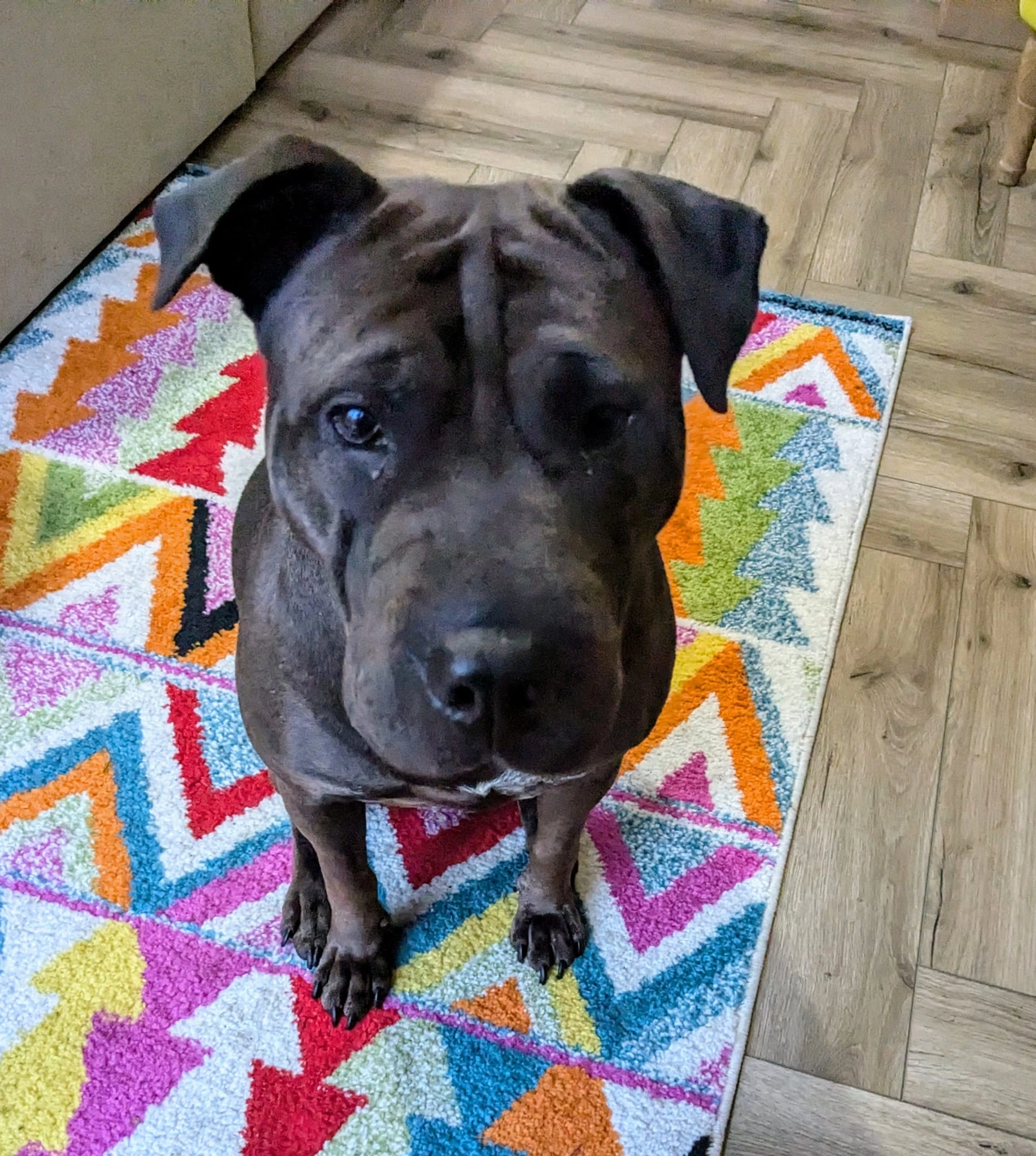 Zena - WA8 8, Widnes