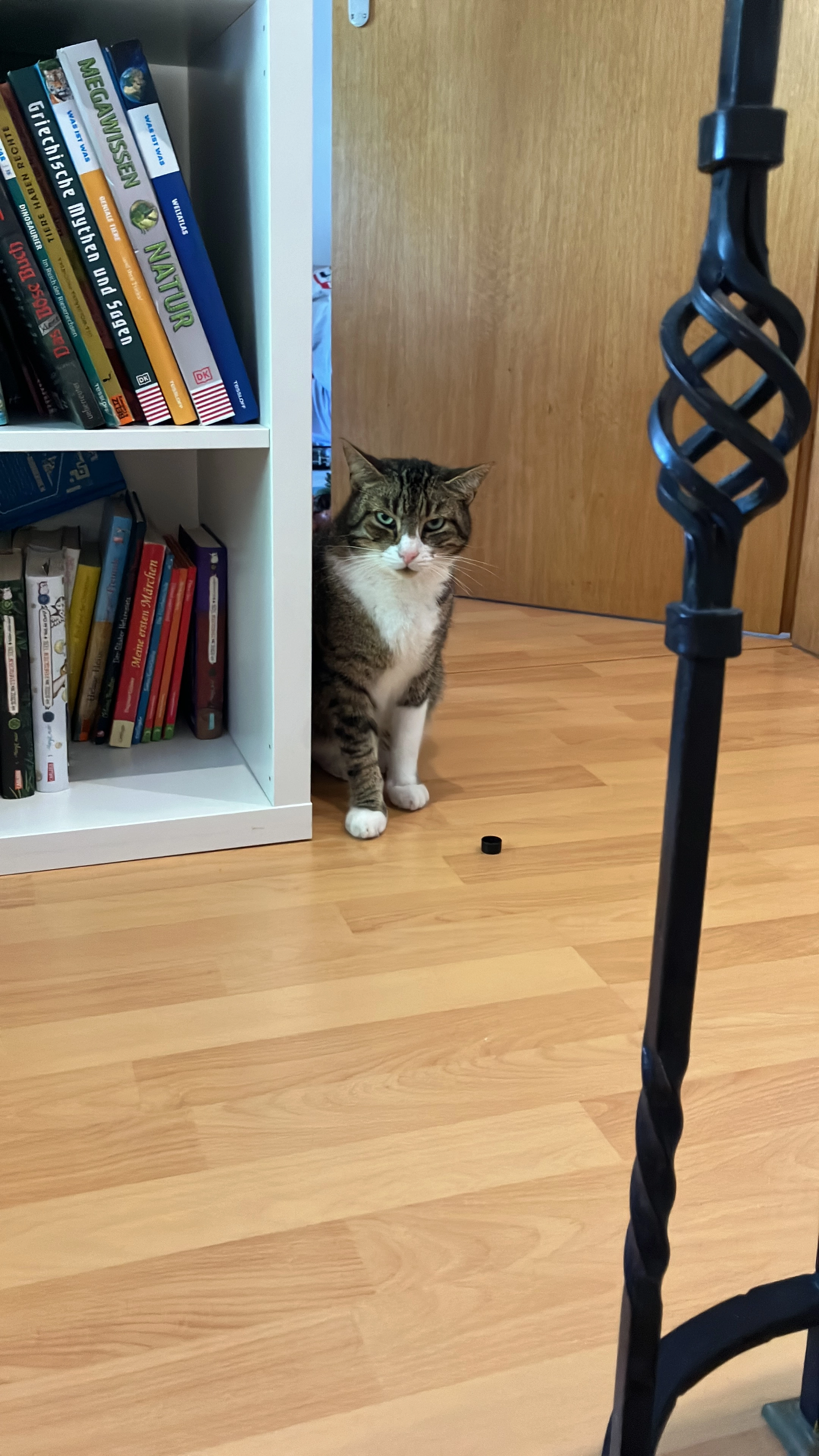 Charlie - Braunkohlenstraße, Bergisch Gladbach