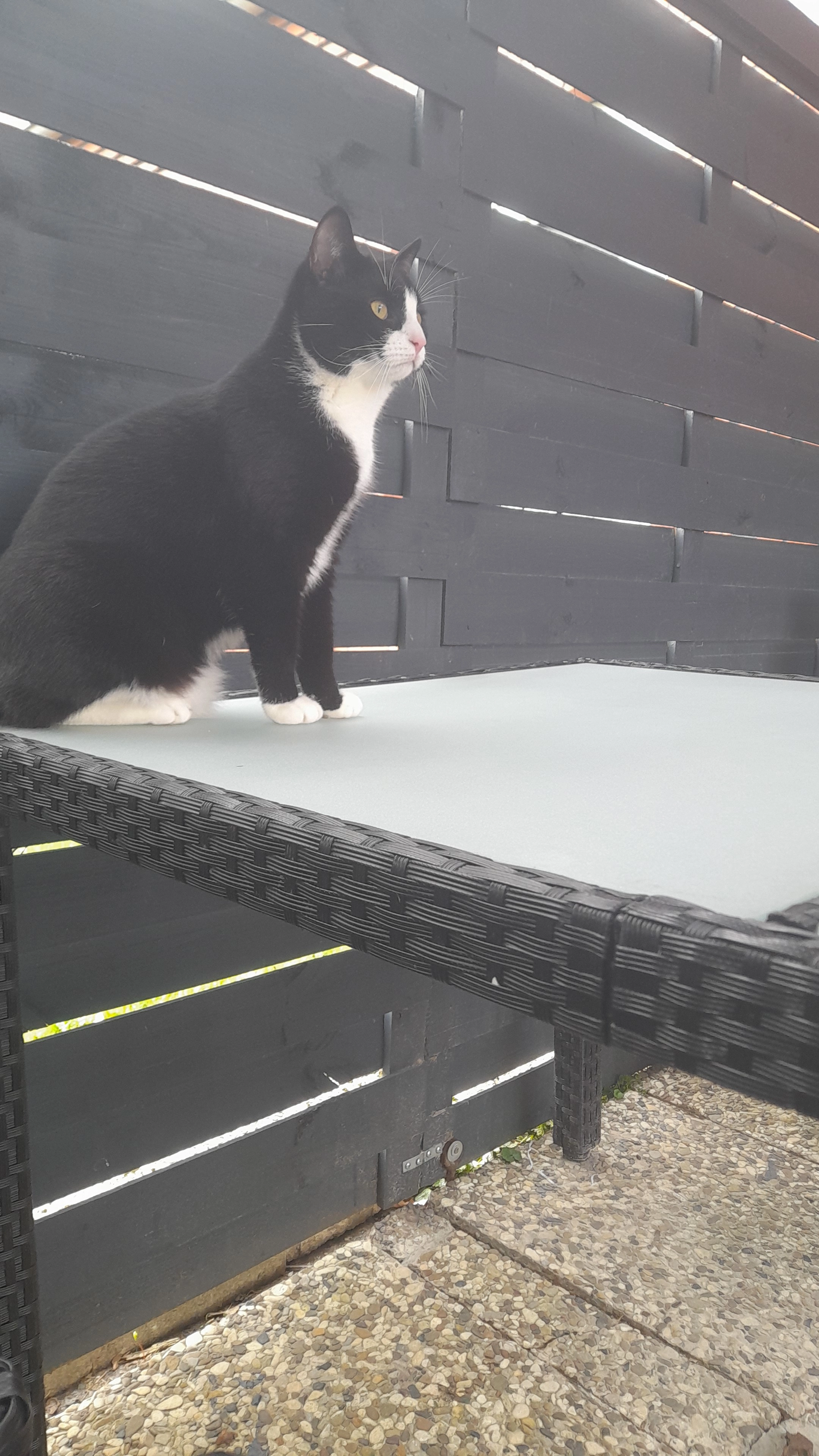 Merlin - Lindenstraße, Moormerland